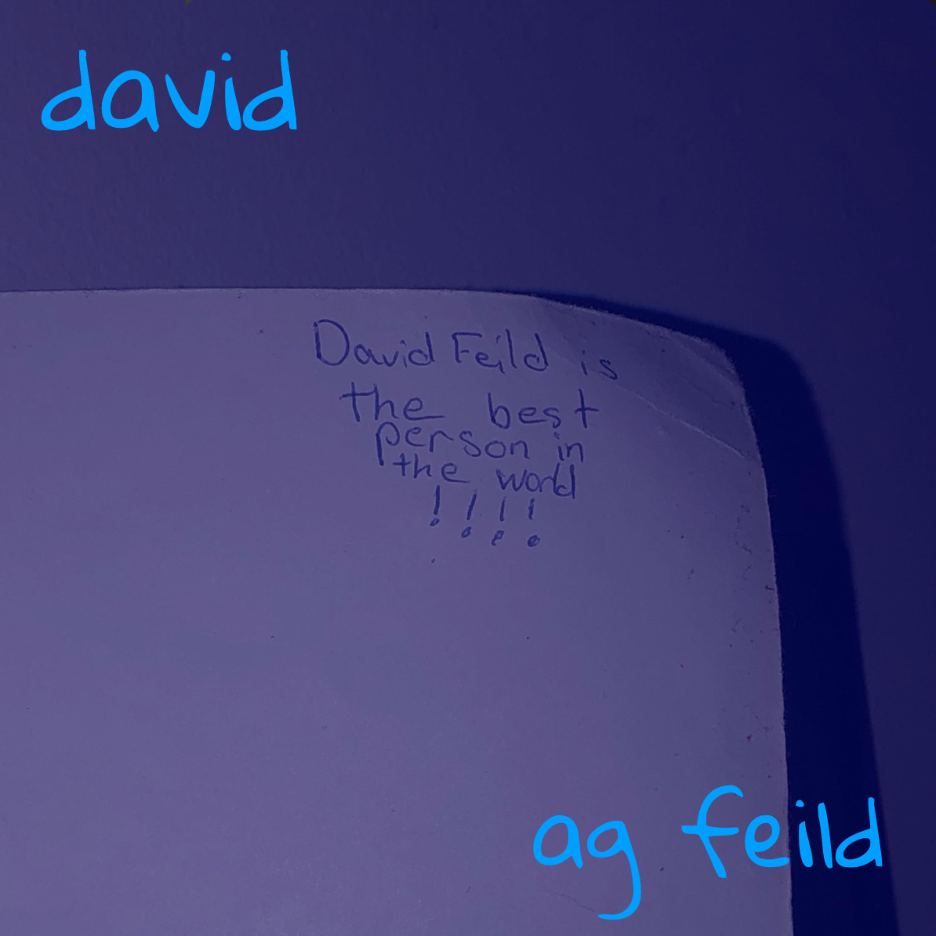 David artwork