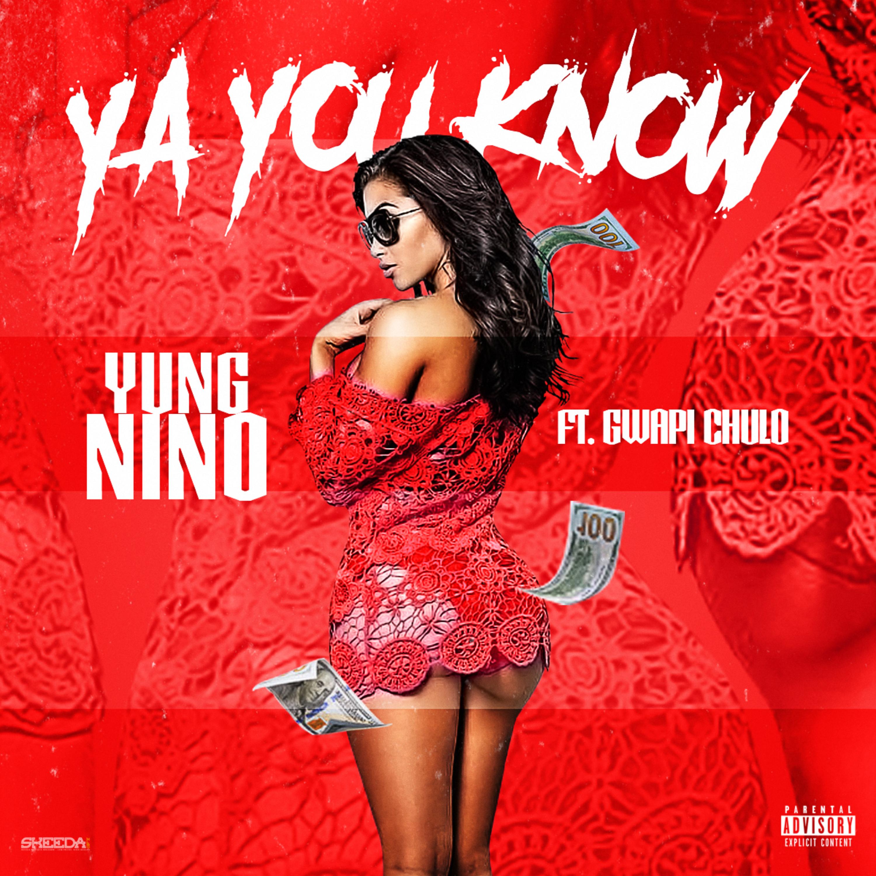 Ya You Know by Yung Nino cover art