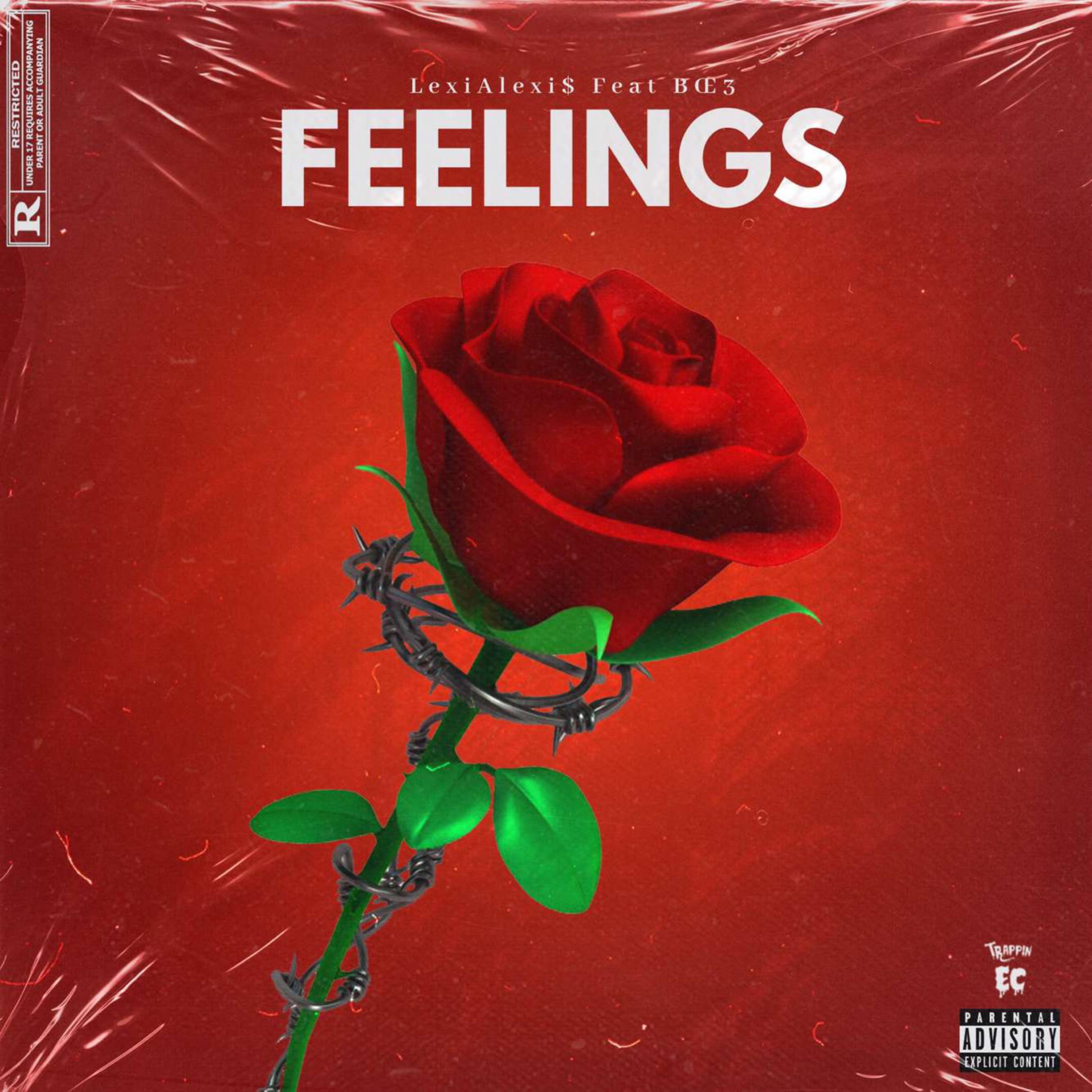 Feelings artwork
