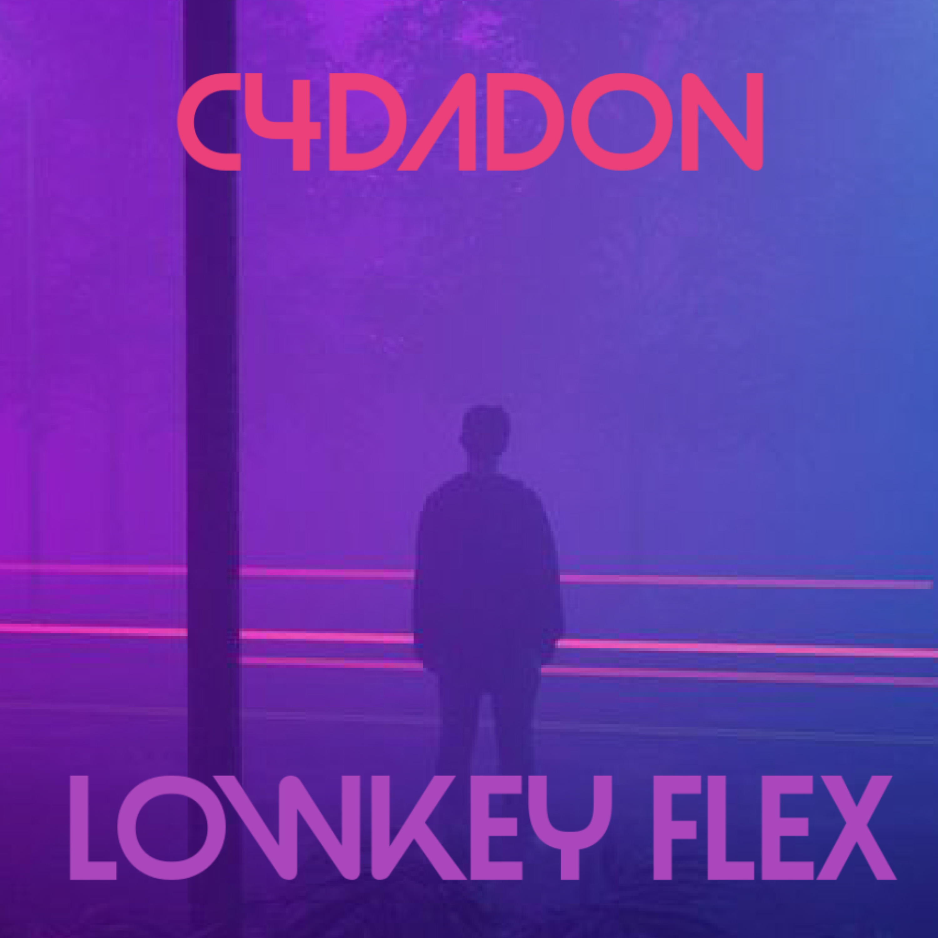 LowKey Flex artwork