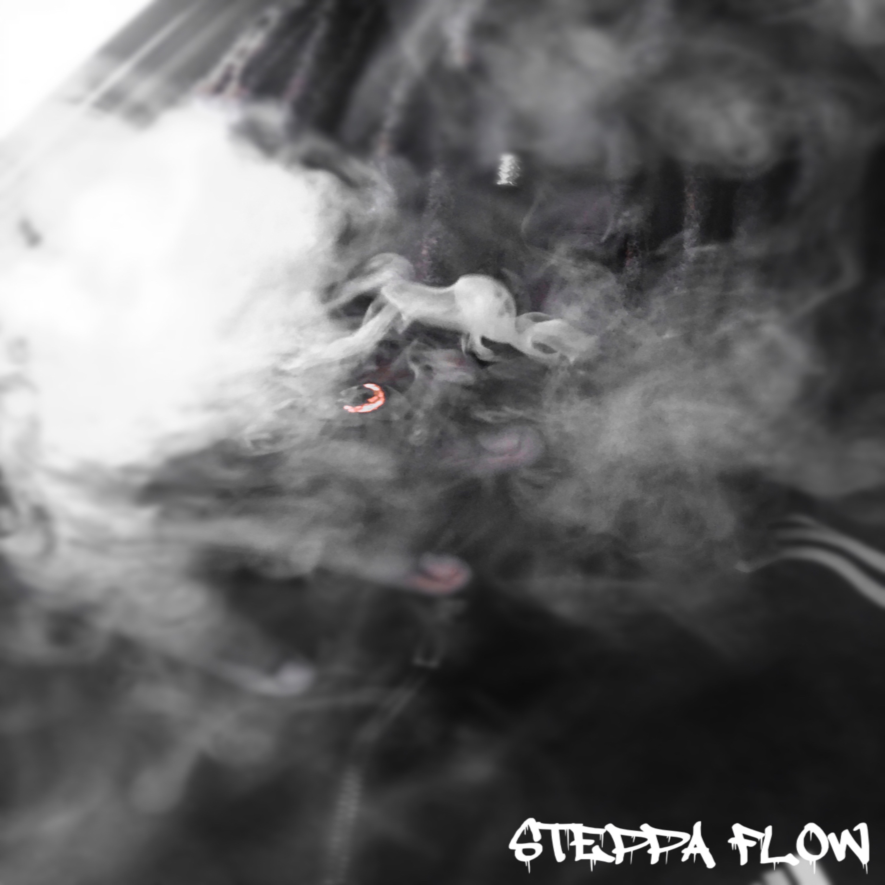 Steppa Flow by STEP cover art