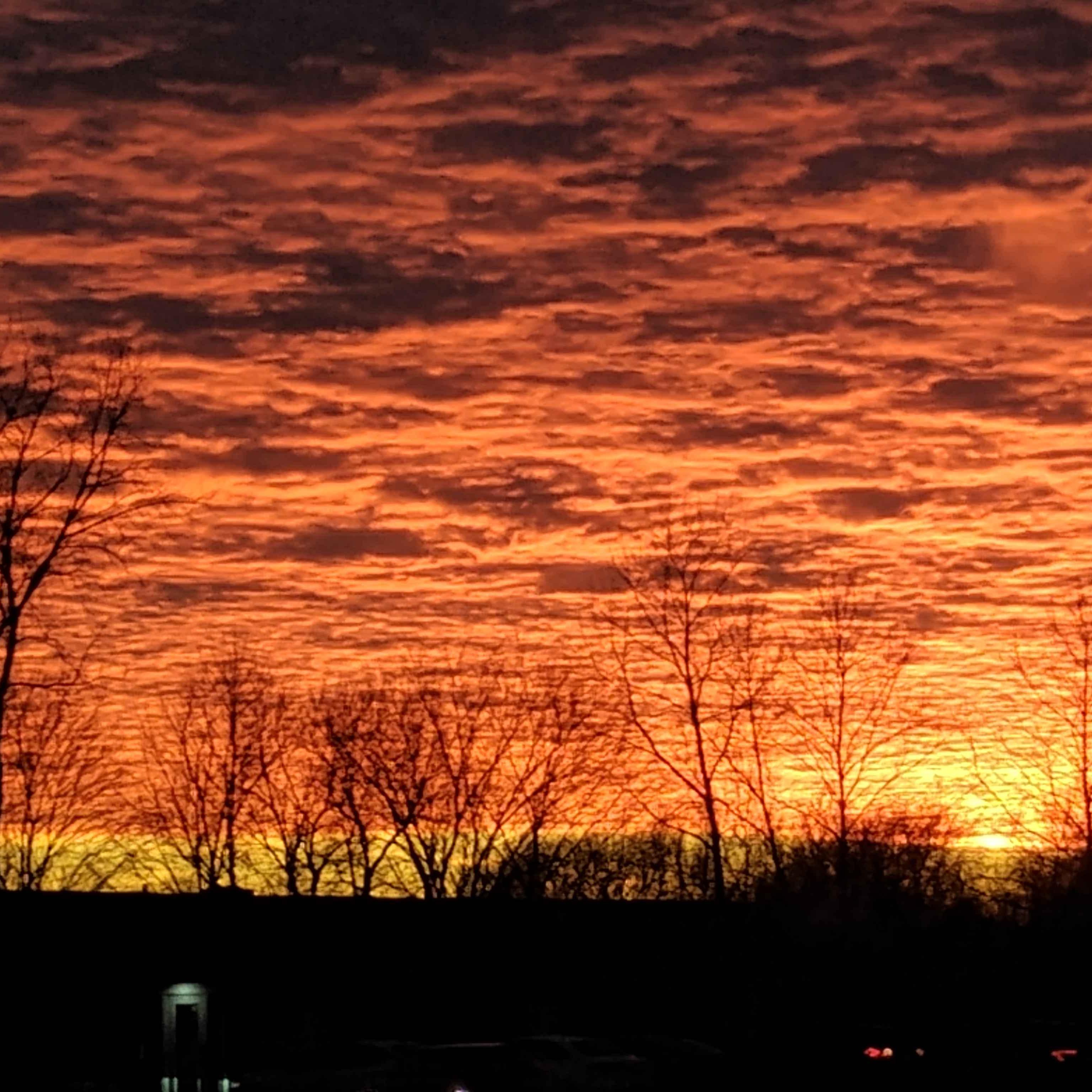 They Came Back artwork