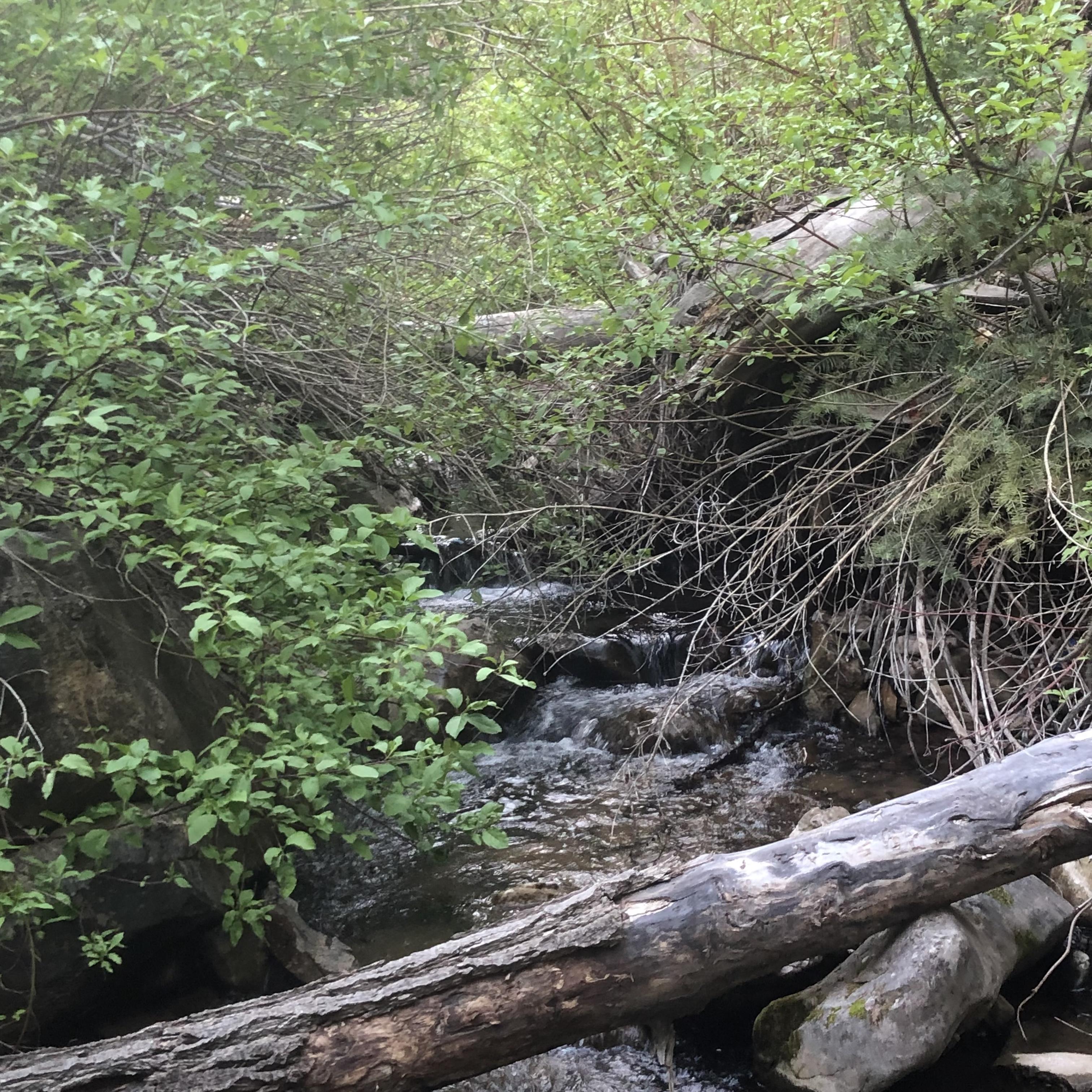 home sweet home artwork