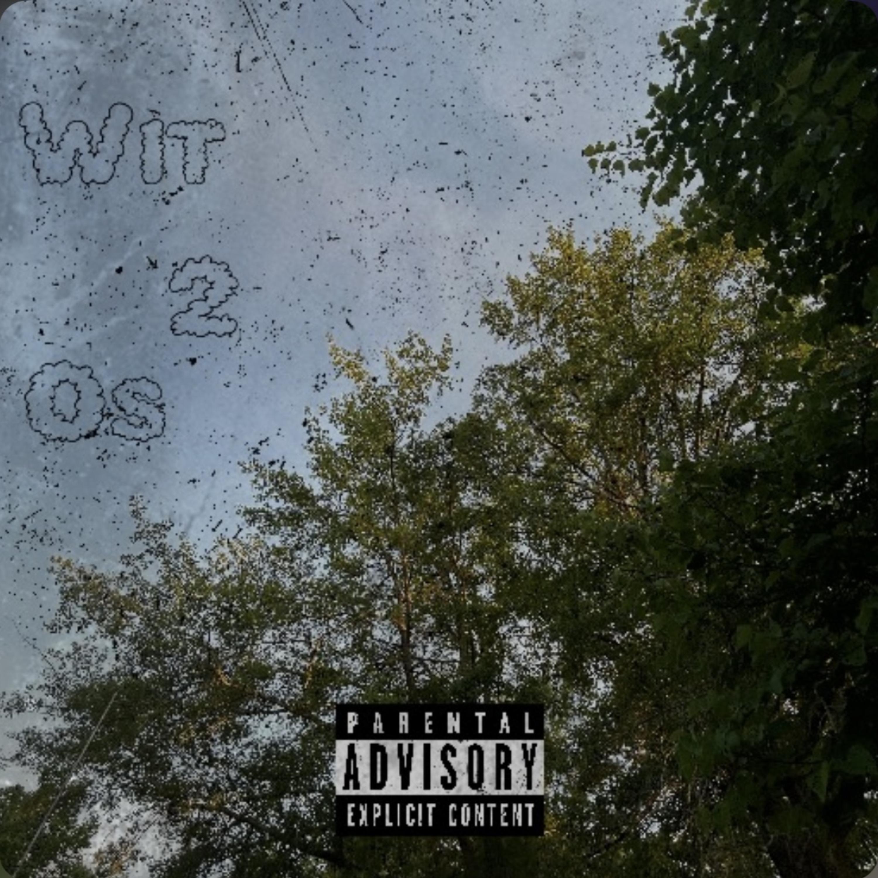 Wit 2 Os artwork