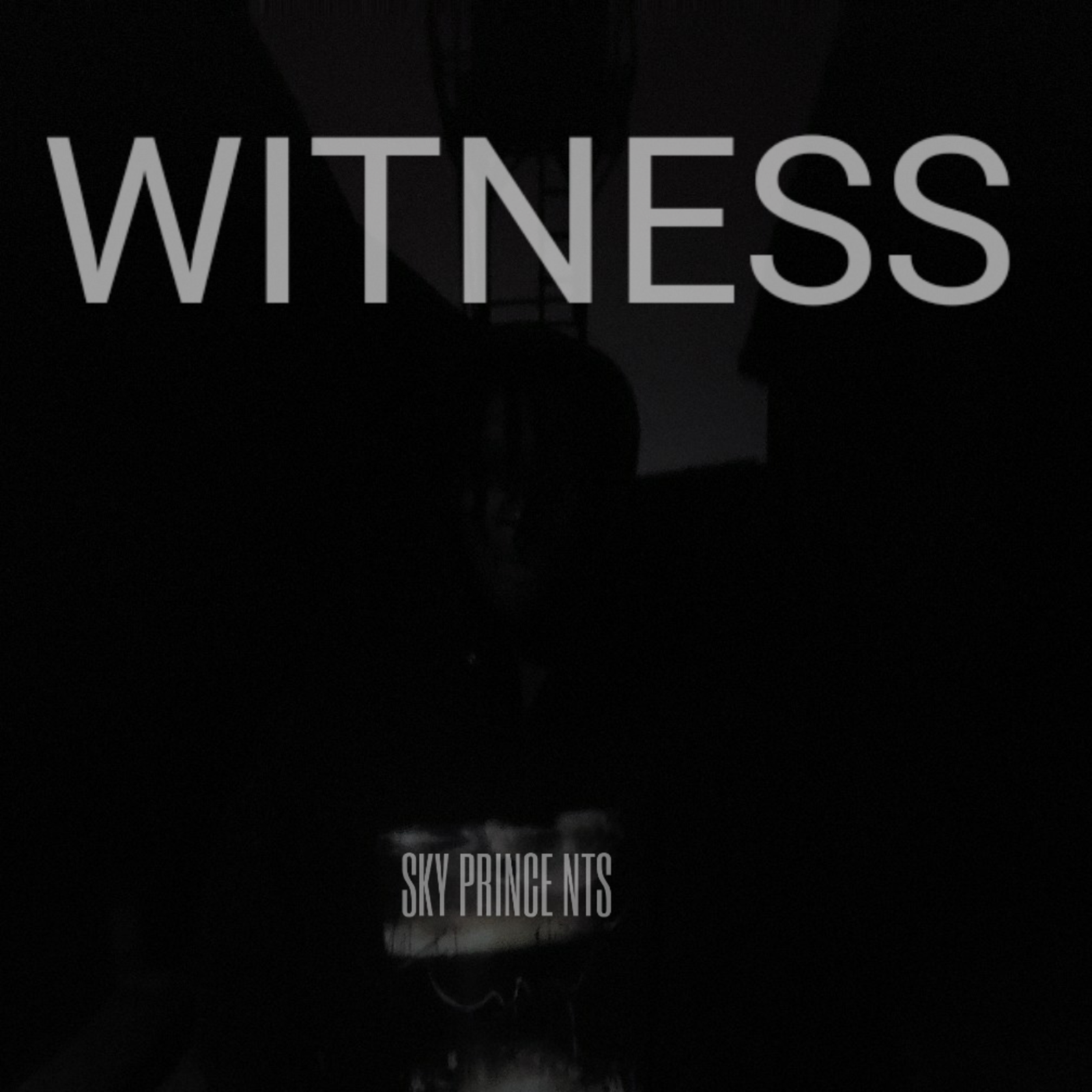 Witness artwork