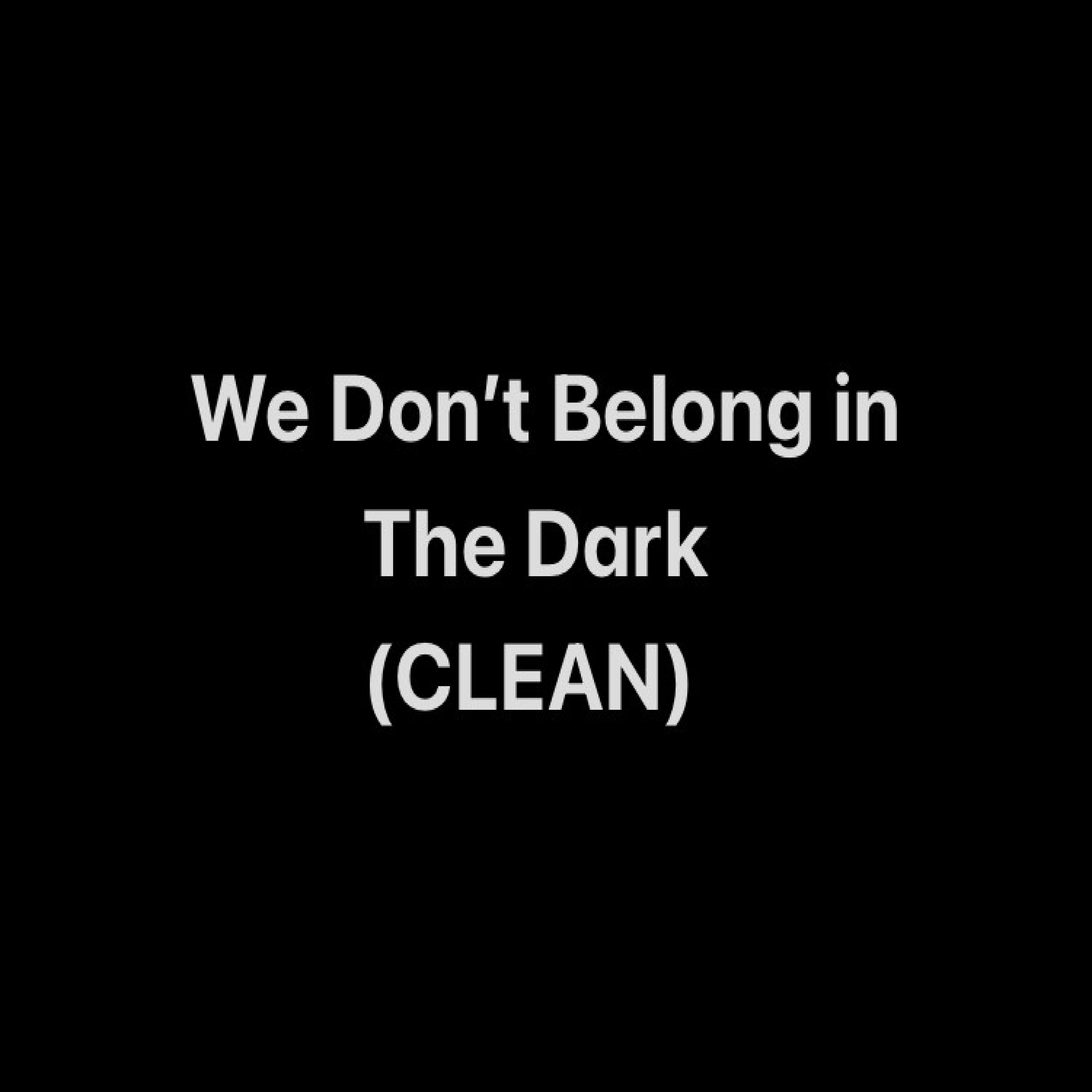 We Don’t Belong in The Dark artwork