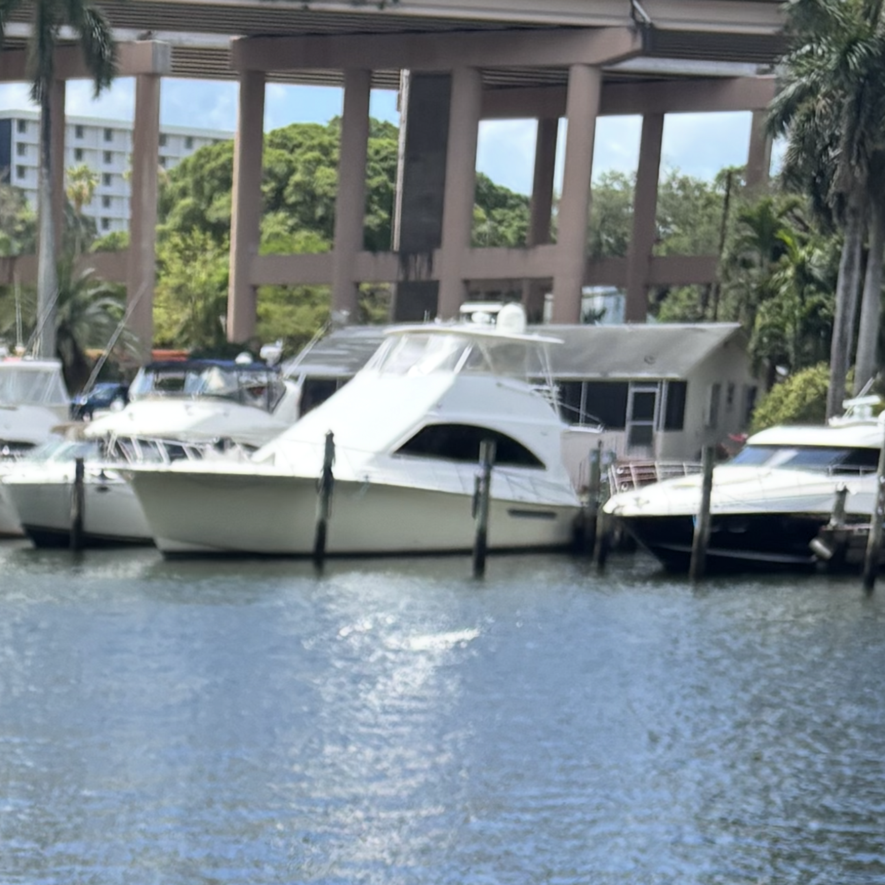 Fl Waters artwork