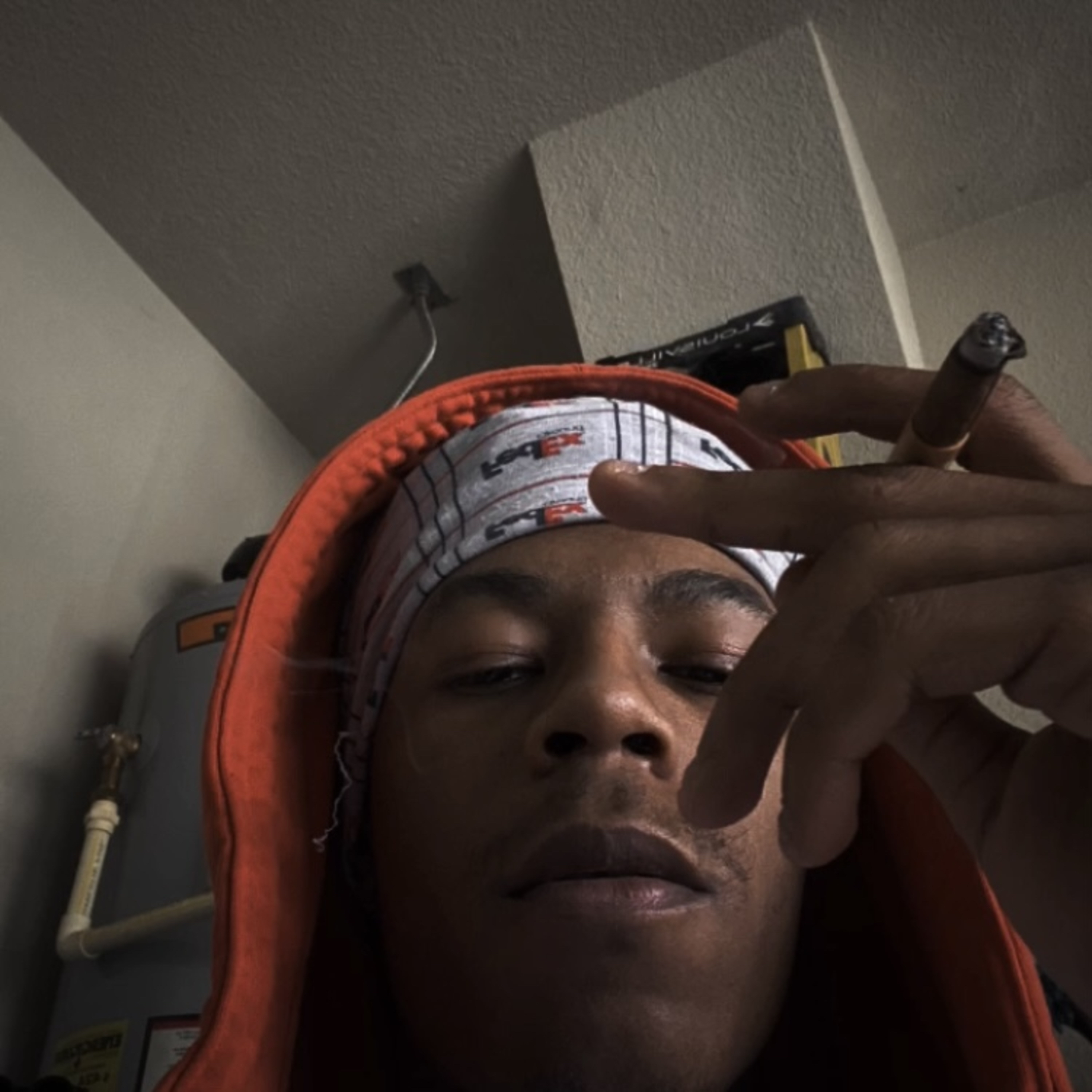 paranoia artwork
