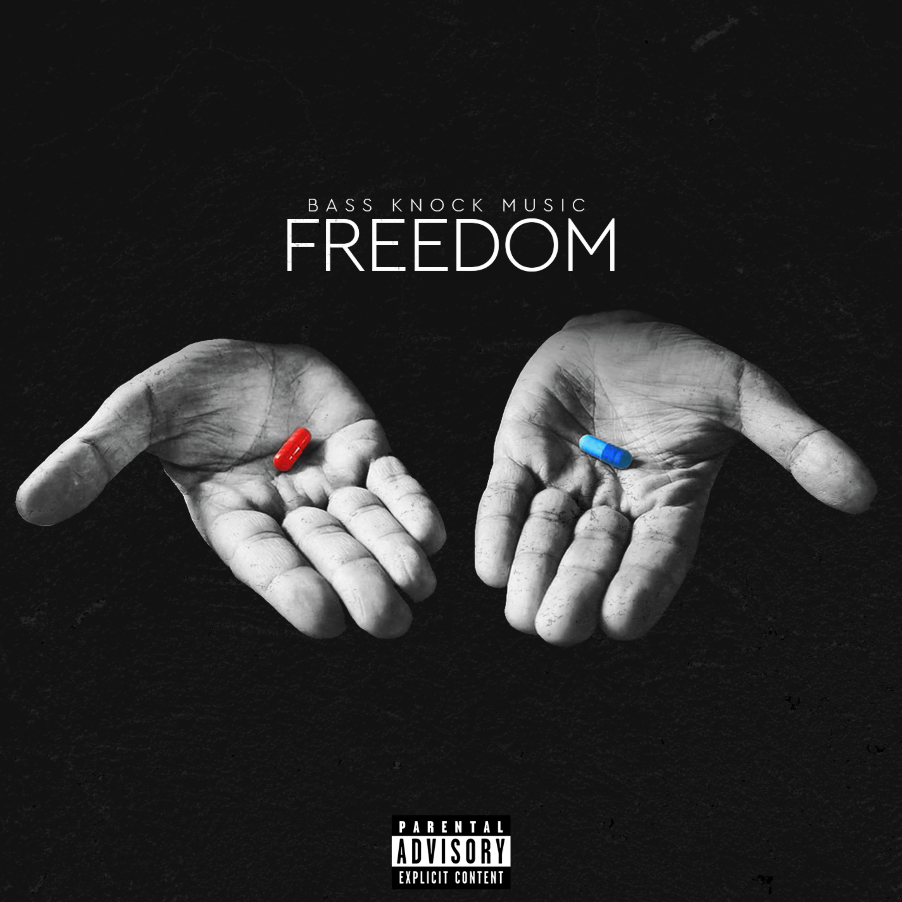 Freedom artwork