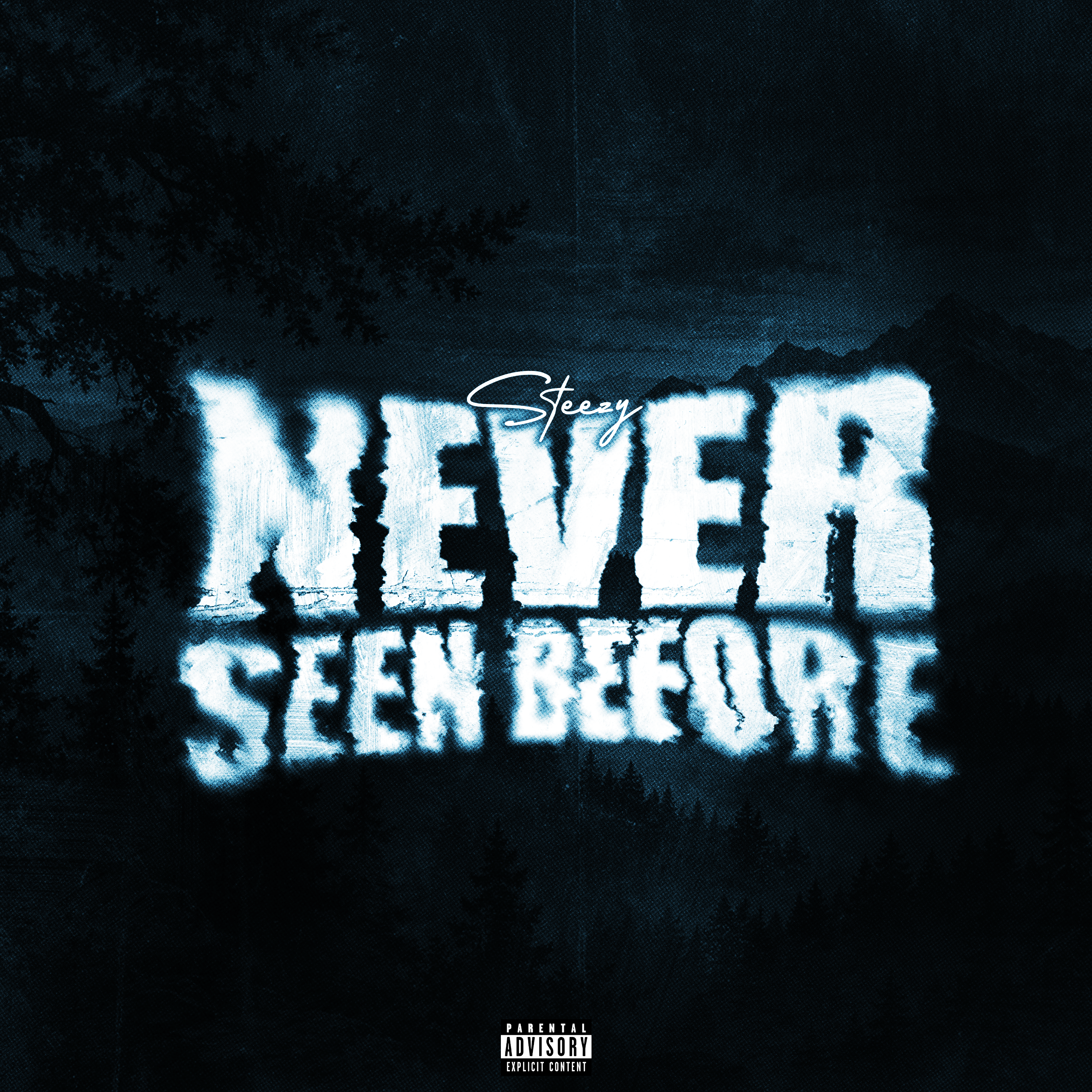 NEVER SEEN BEFORE by STEEZY cover art