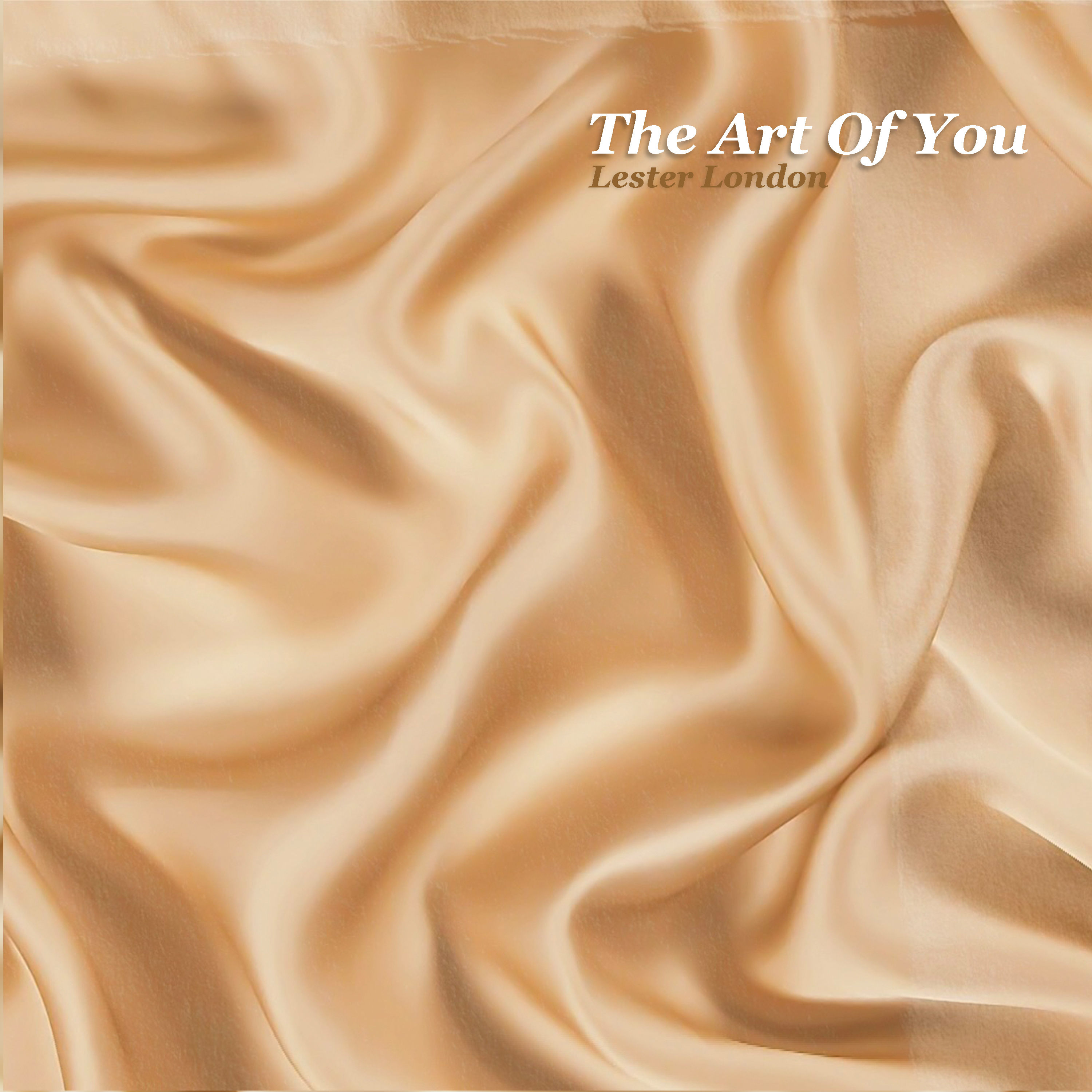 The Art Of You artwork