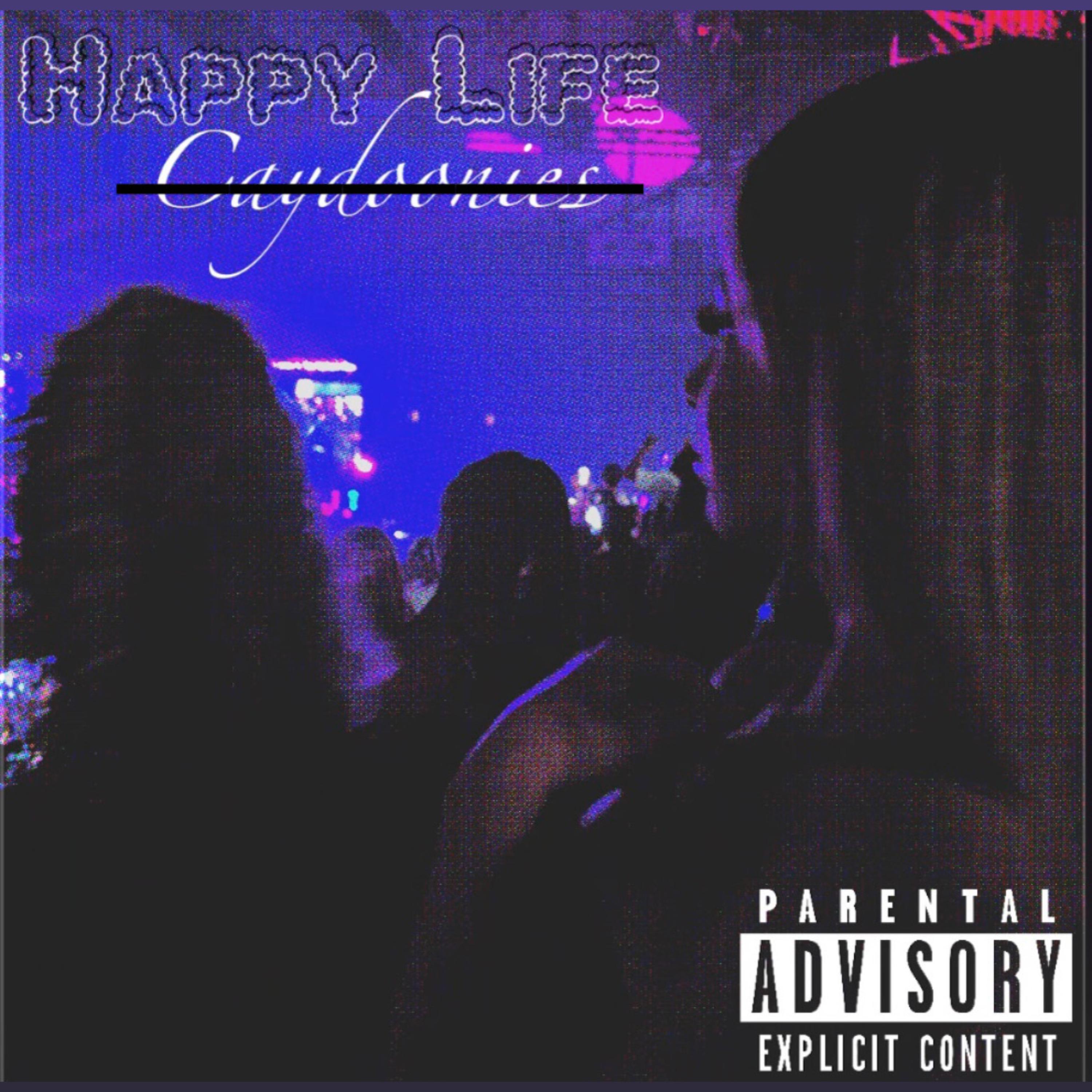Happy Life artwork