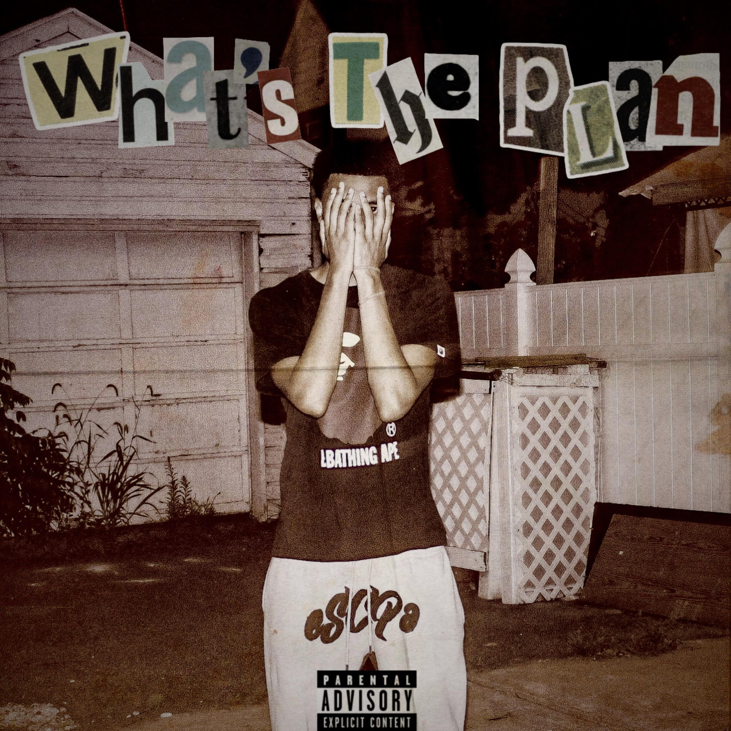 What's The Plan? artwork