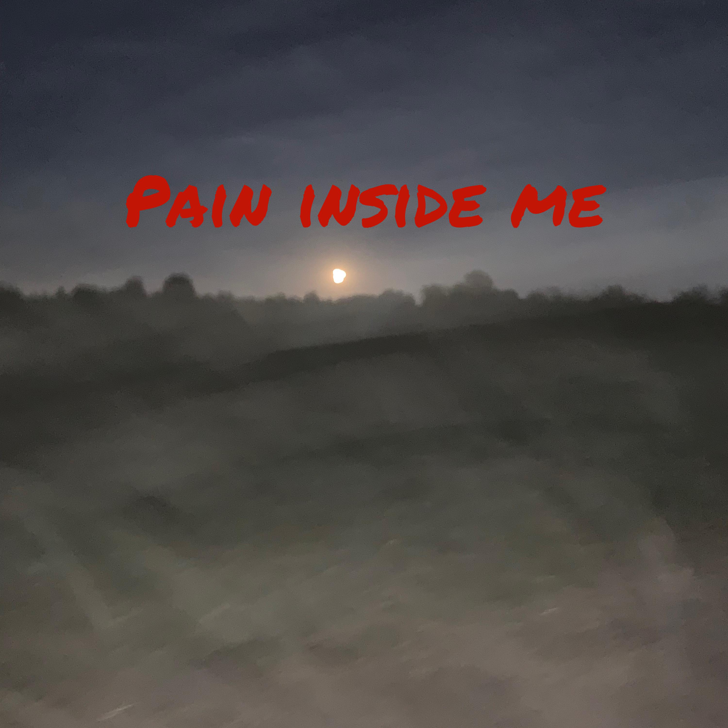 Pain Inside Me artwork