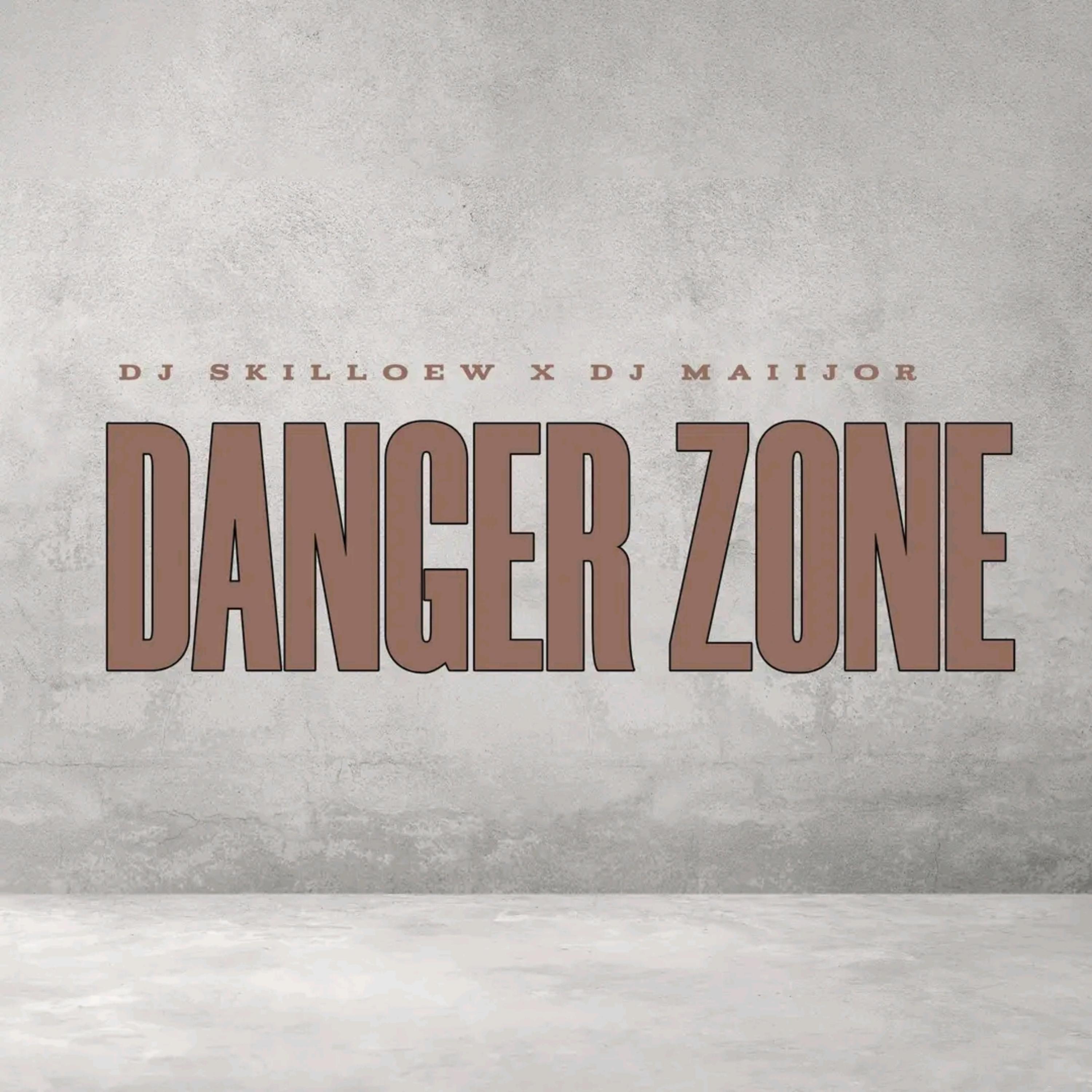 DANGER ZONE artwork