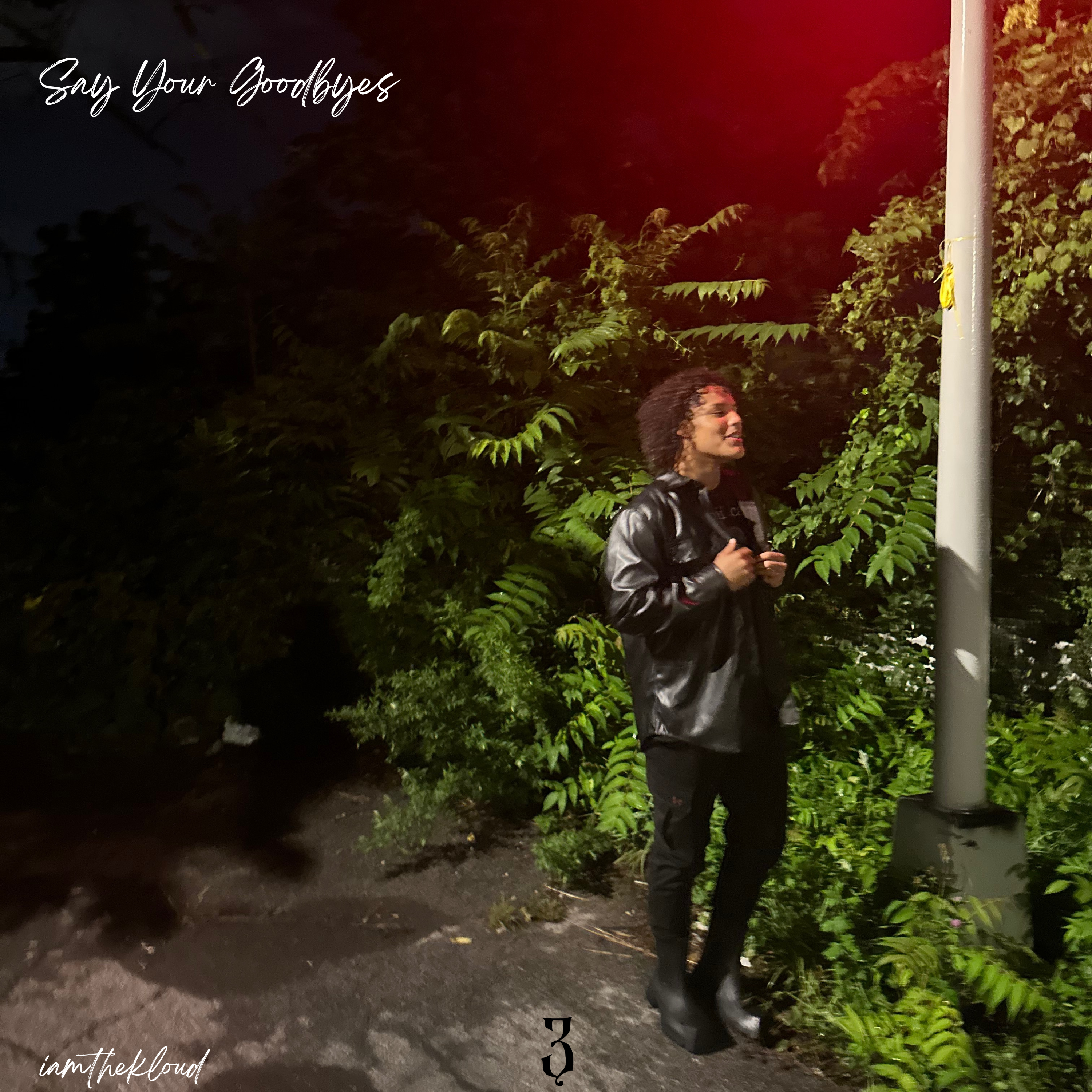 Say Your Goodbyes artwork
