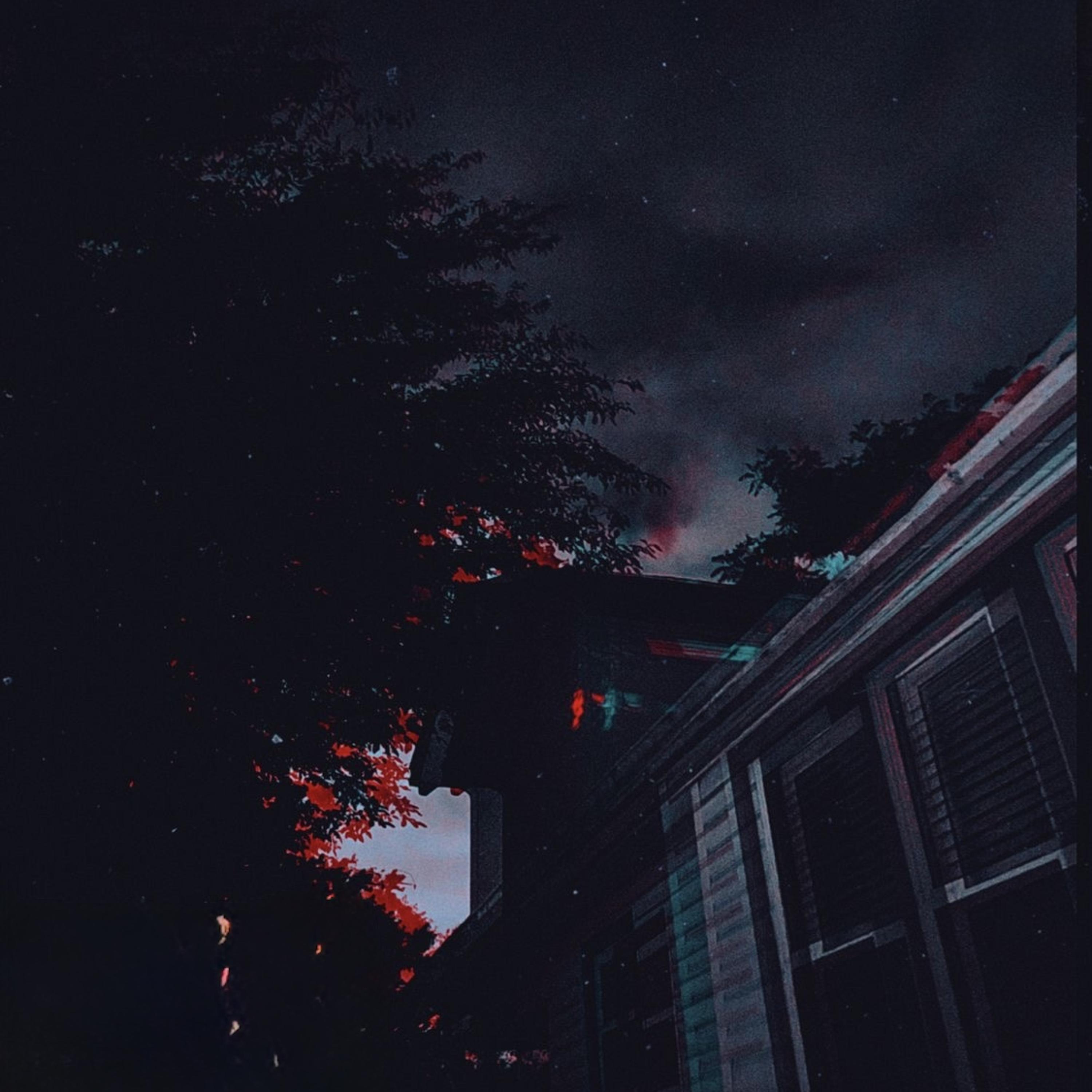 2 & 4 artwork