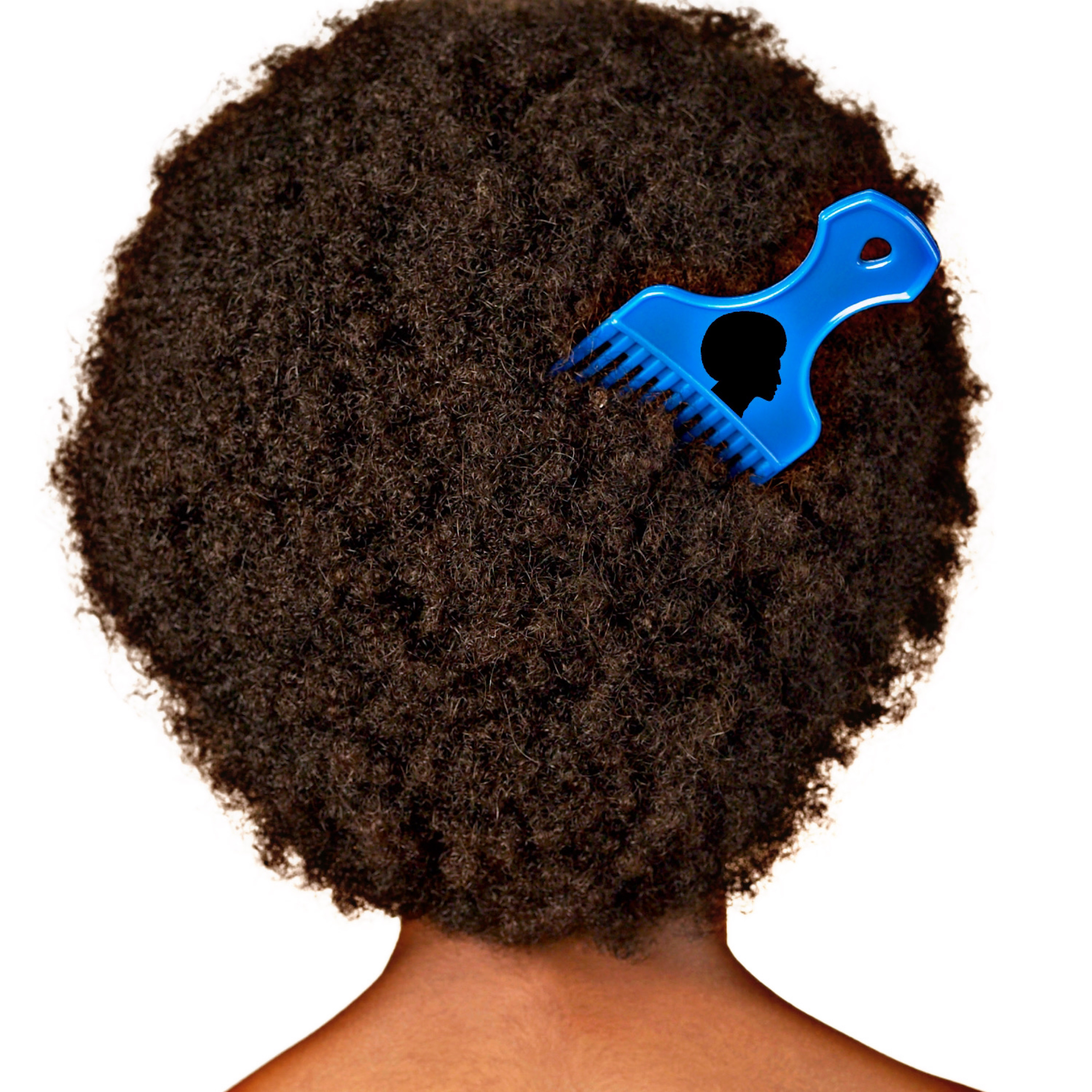 Afro Dawg Two artwork