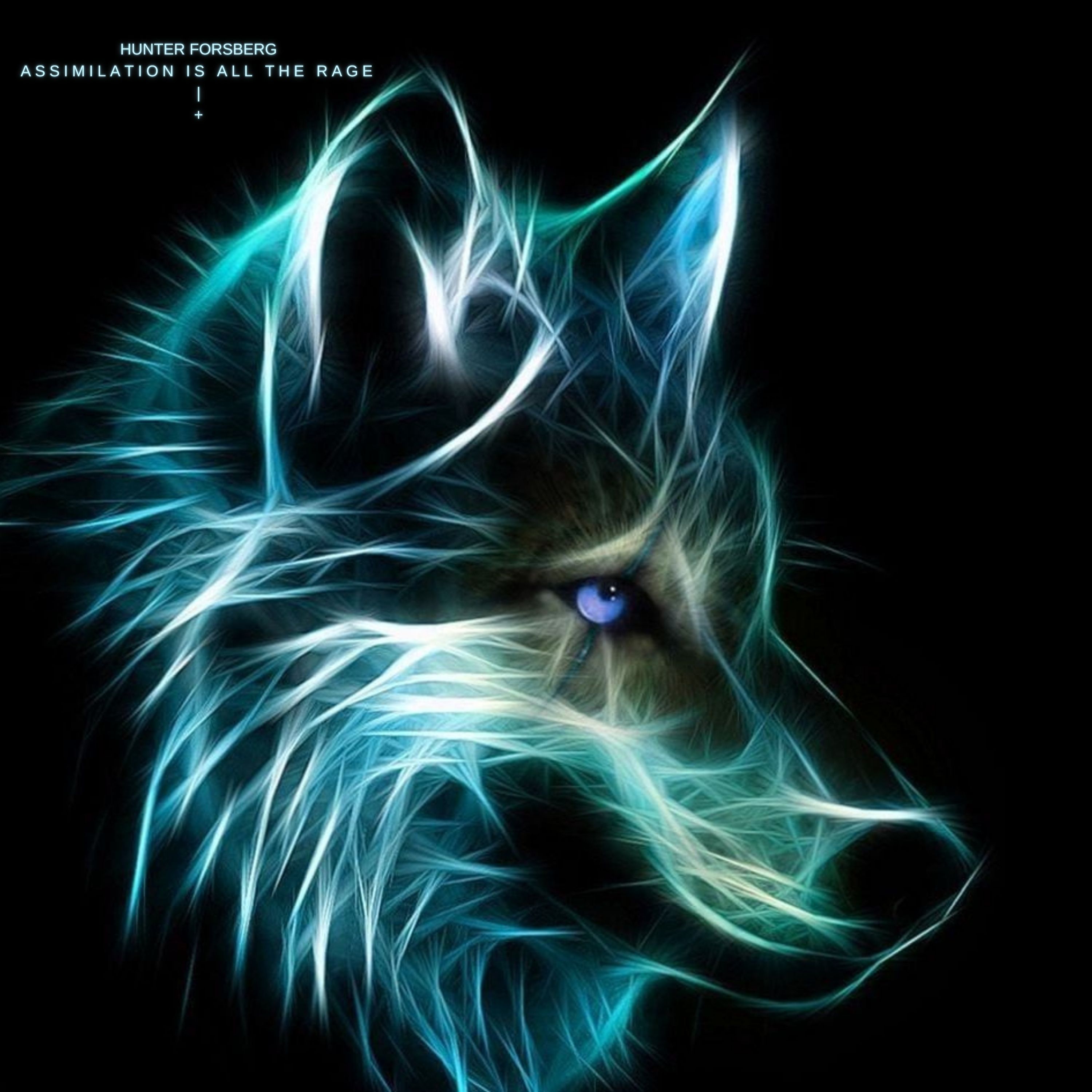 Assimilation is All the Rage artwork