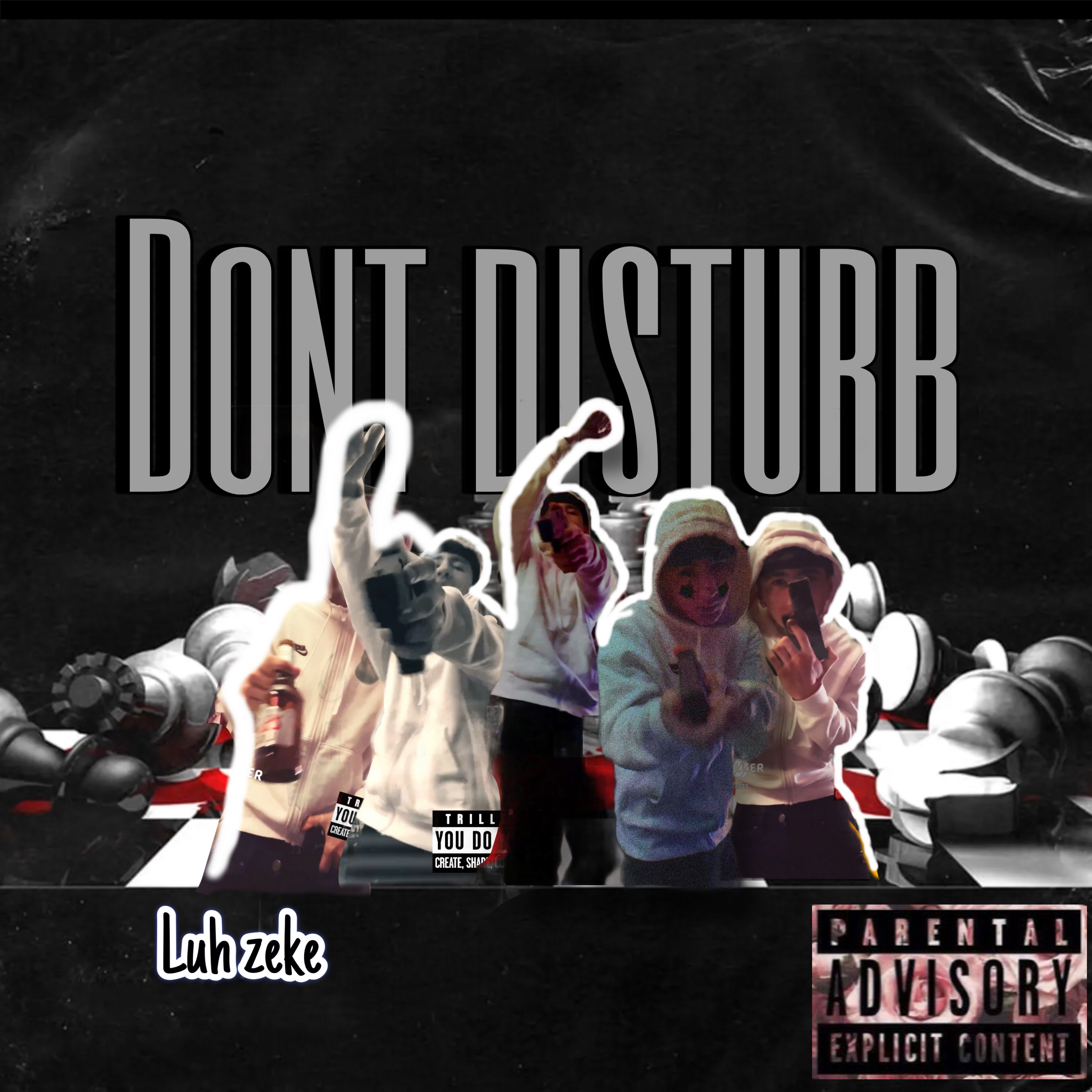 Dont Disturb artwork