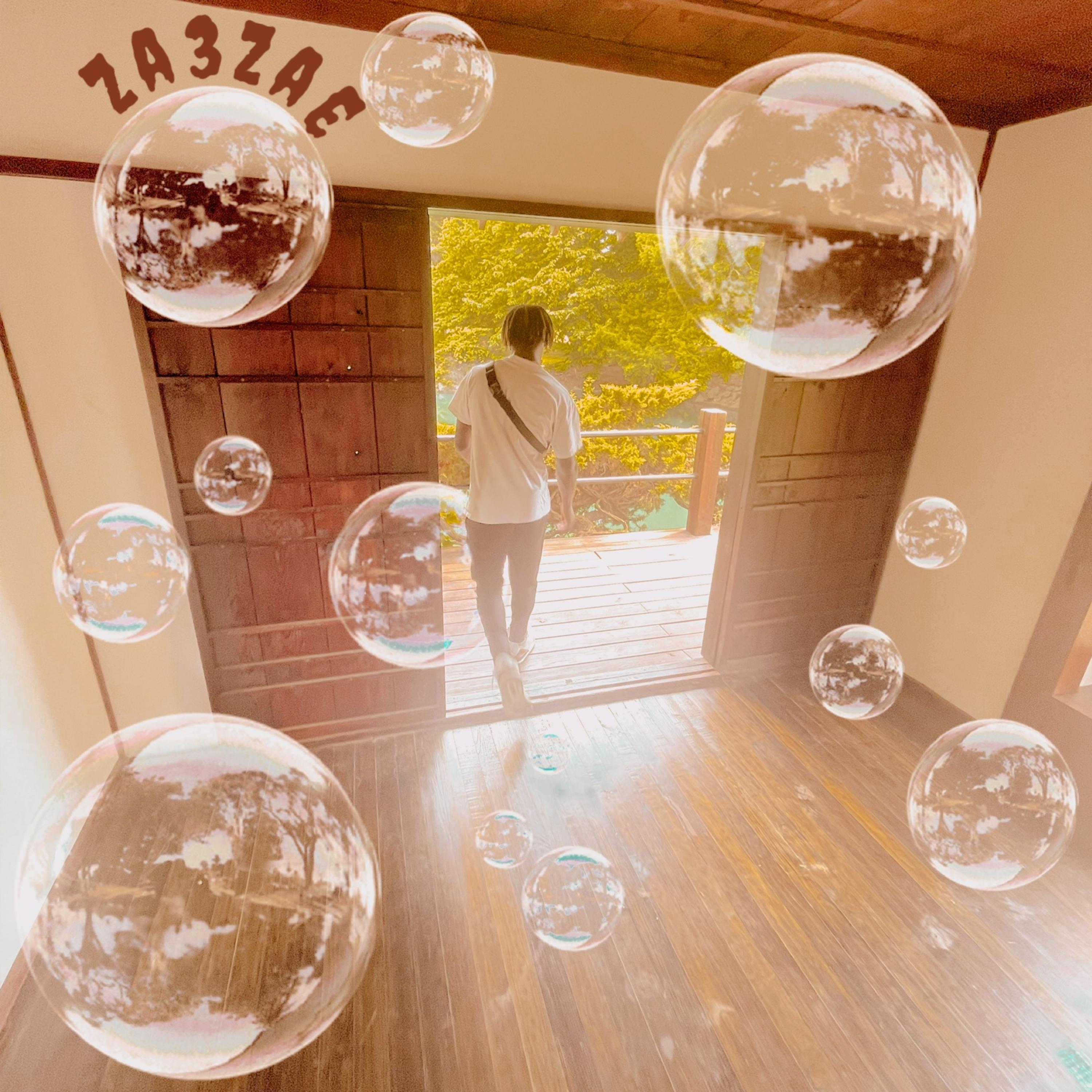 My Diorbag Pt.5 artwork