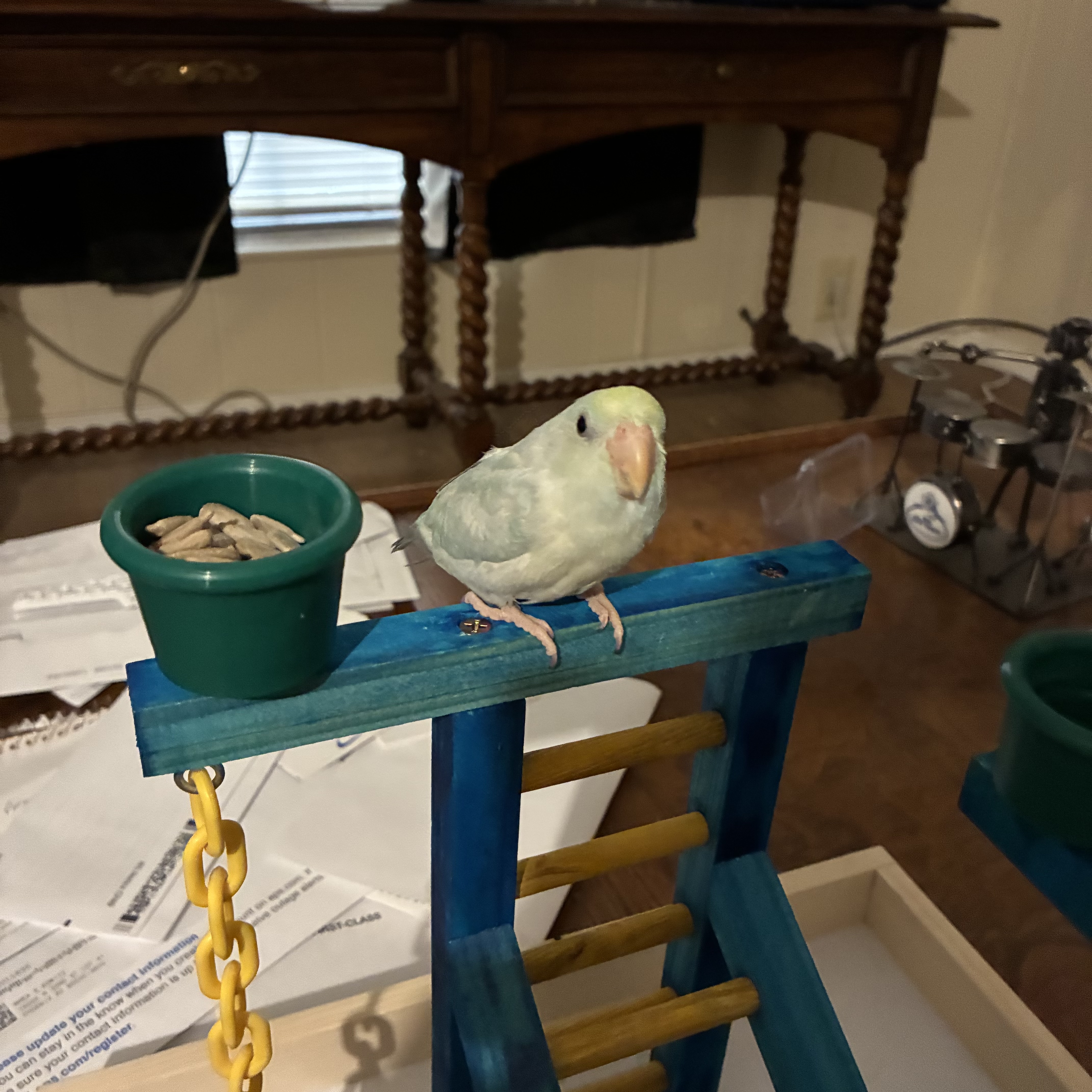Precious Little Pearl by The Angry Duckling & His Custom Beats cover art