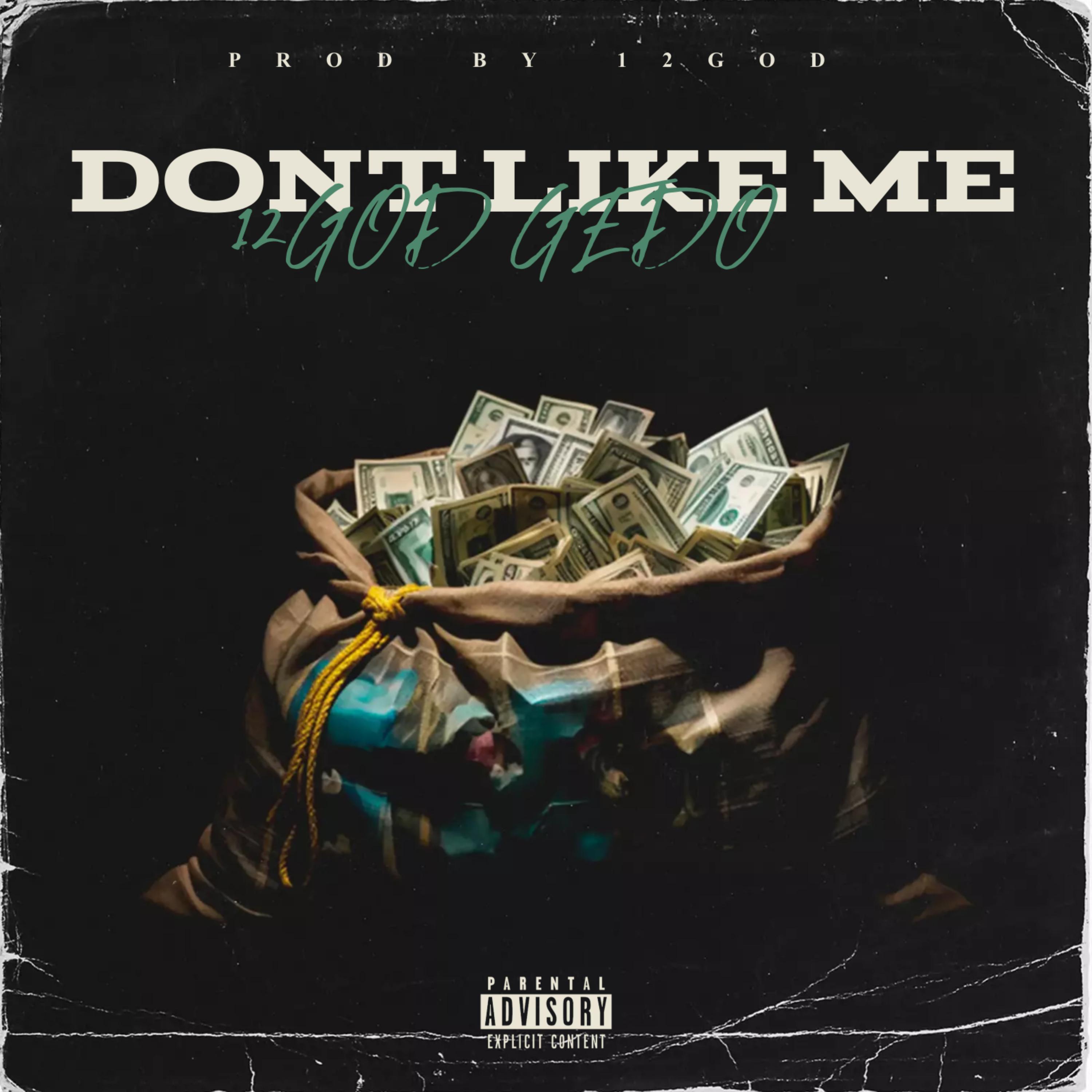 DONT LIKE ME artwork