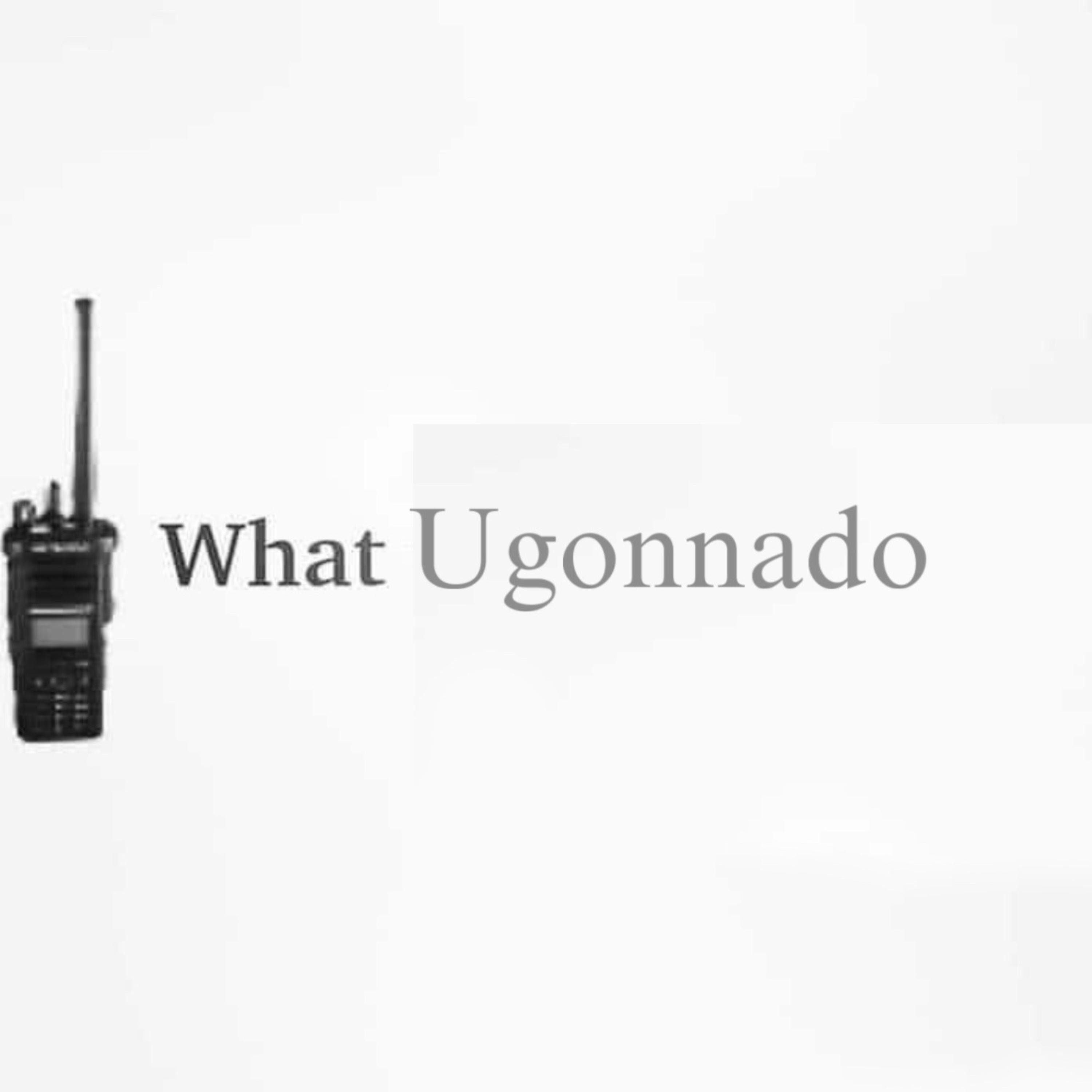 whatugonnado artwork