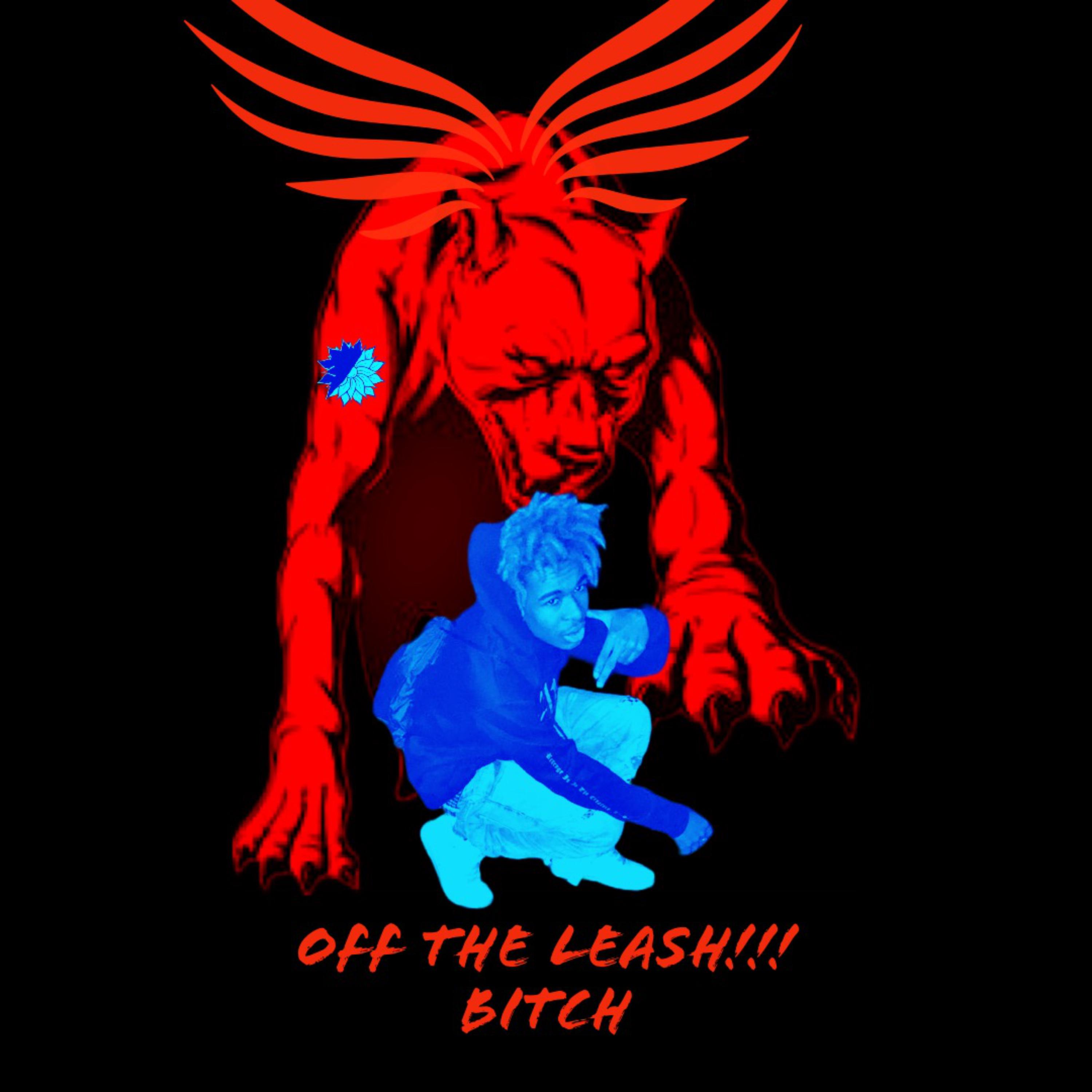 Off The Leash (remix) by BOOMINAPE cover art