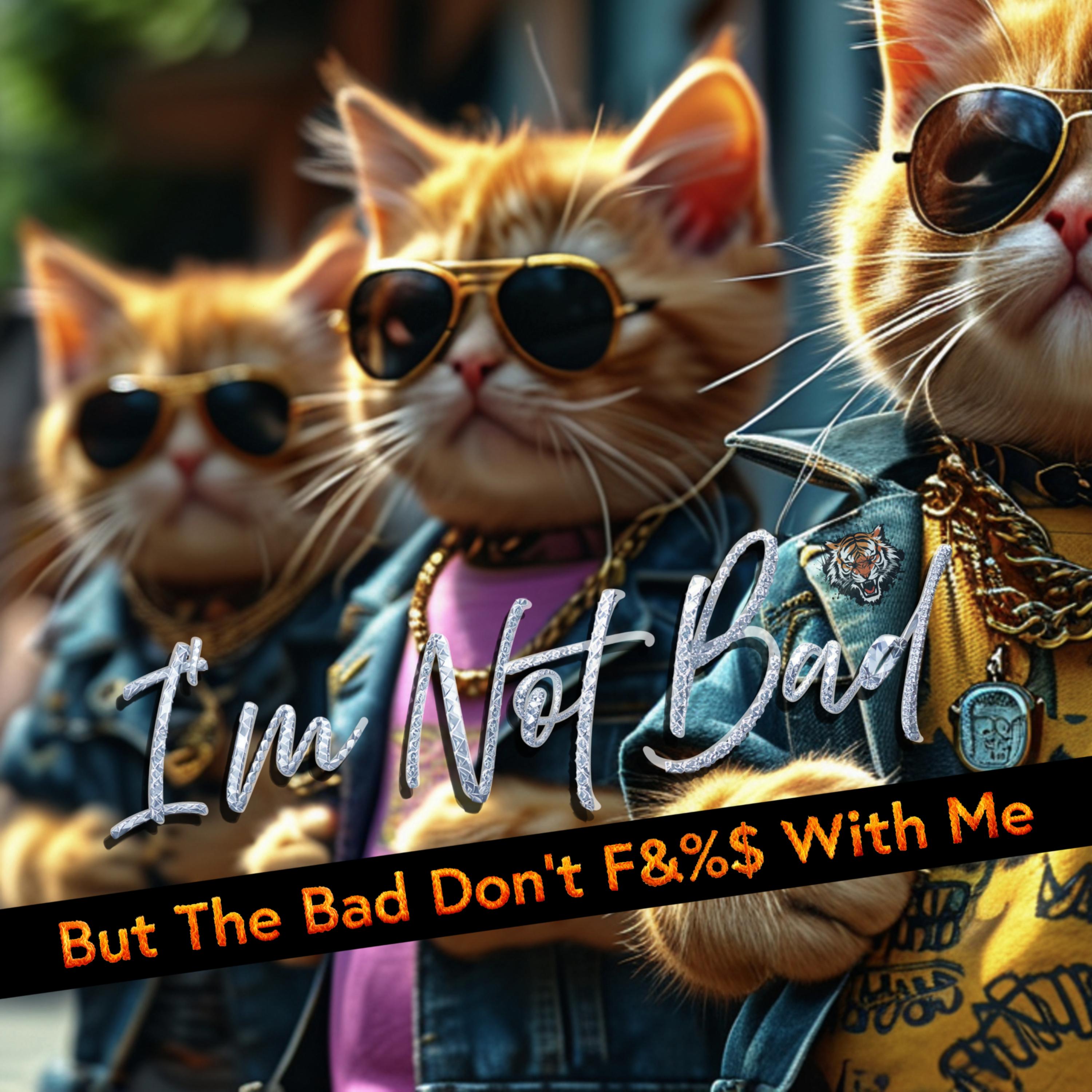 I'm Not Bad artwork