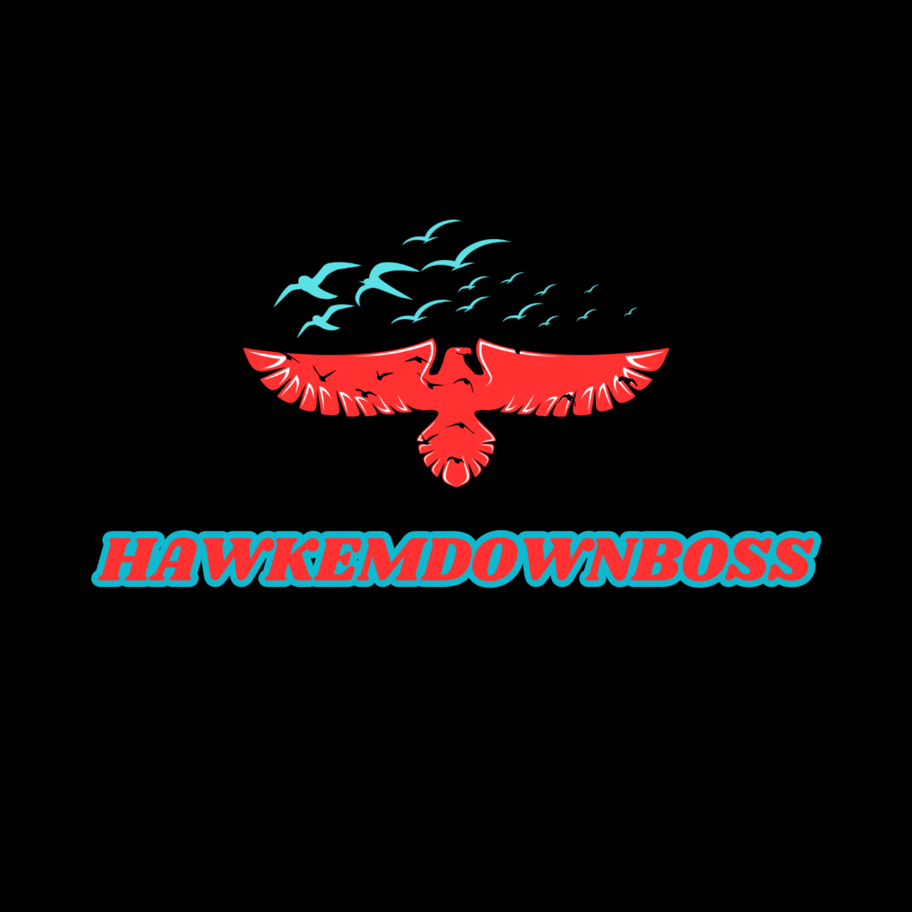 HAWKEMDOWNBOSS artwork