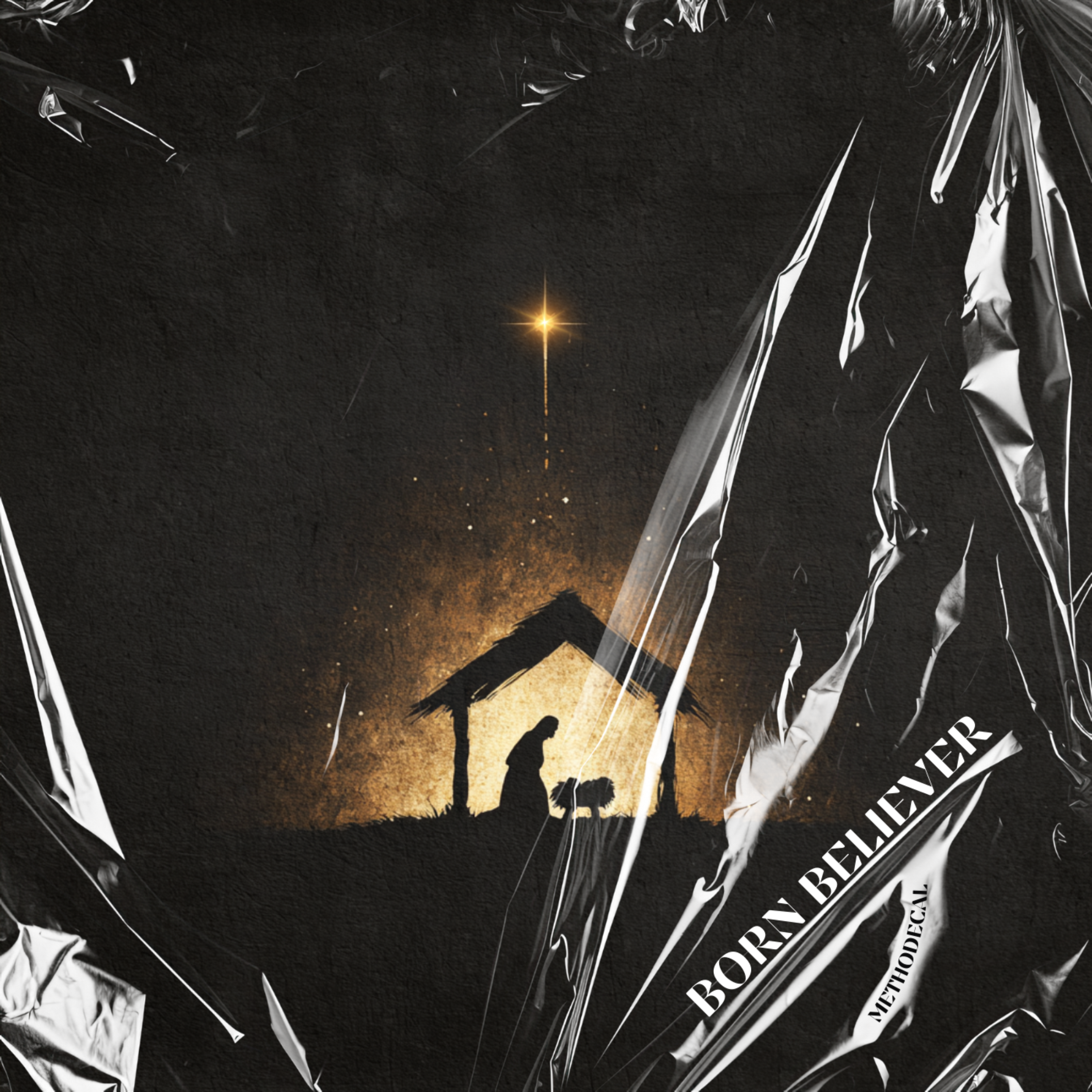 Born Believer artwork