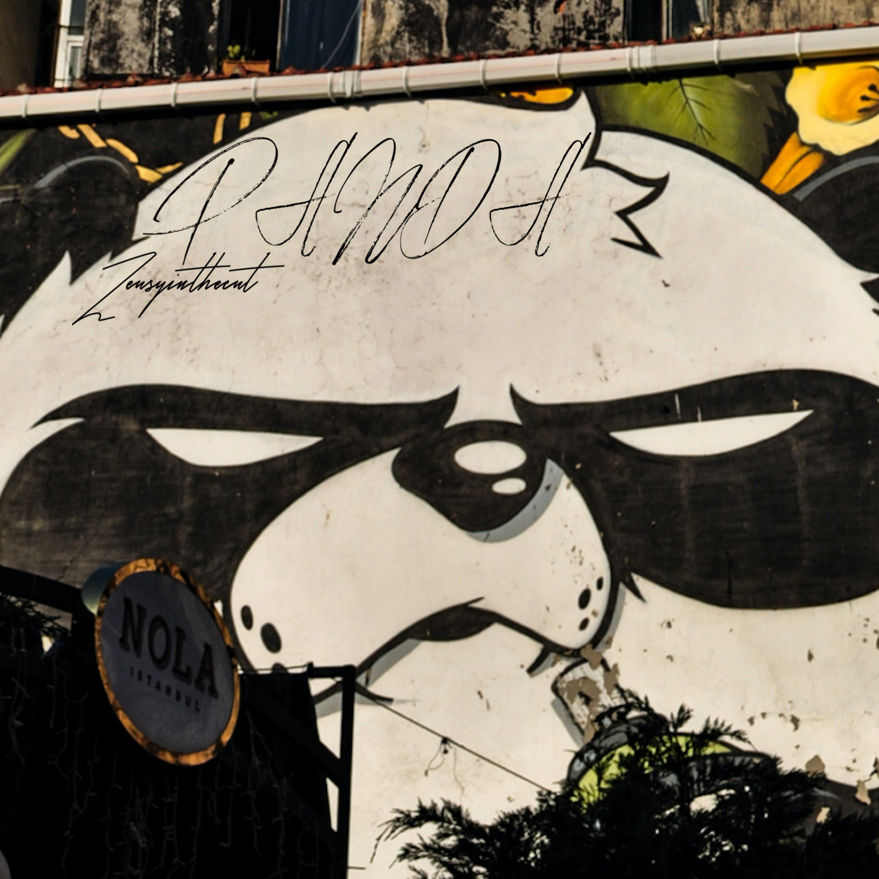 Panda Freestyle artwork