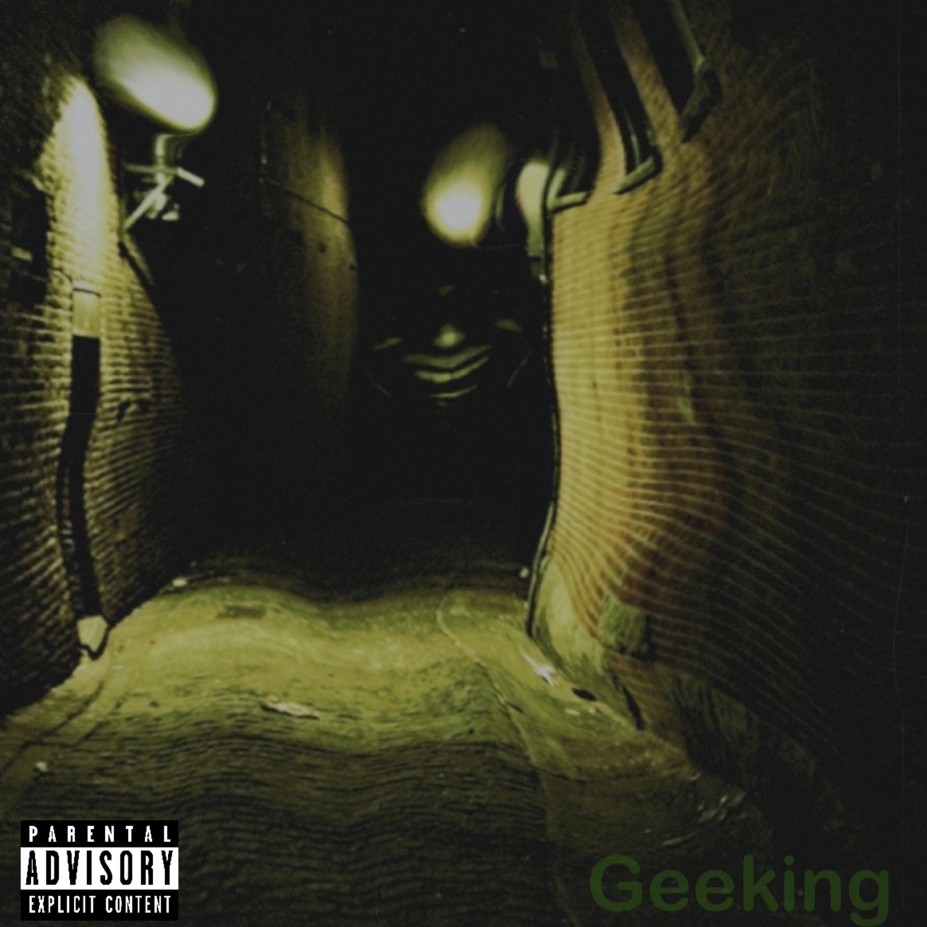 Geeking artwork