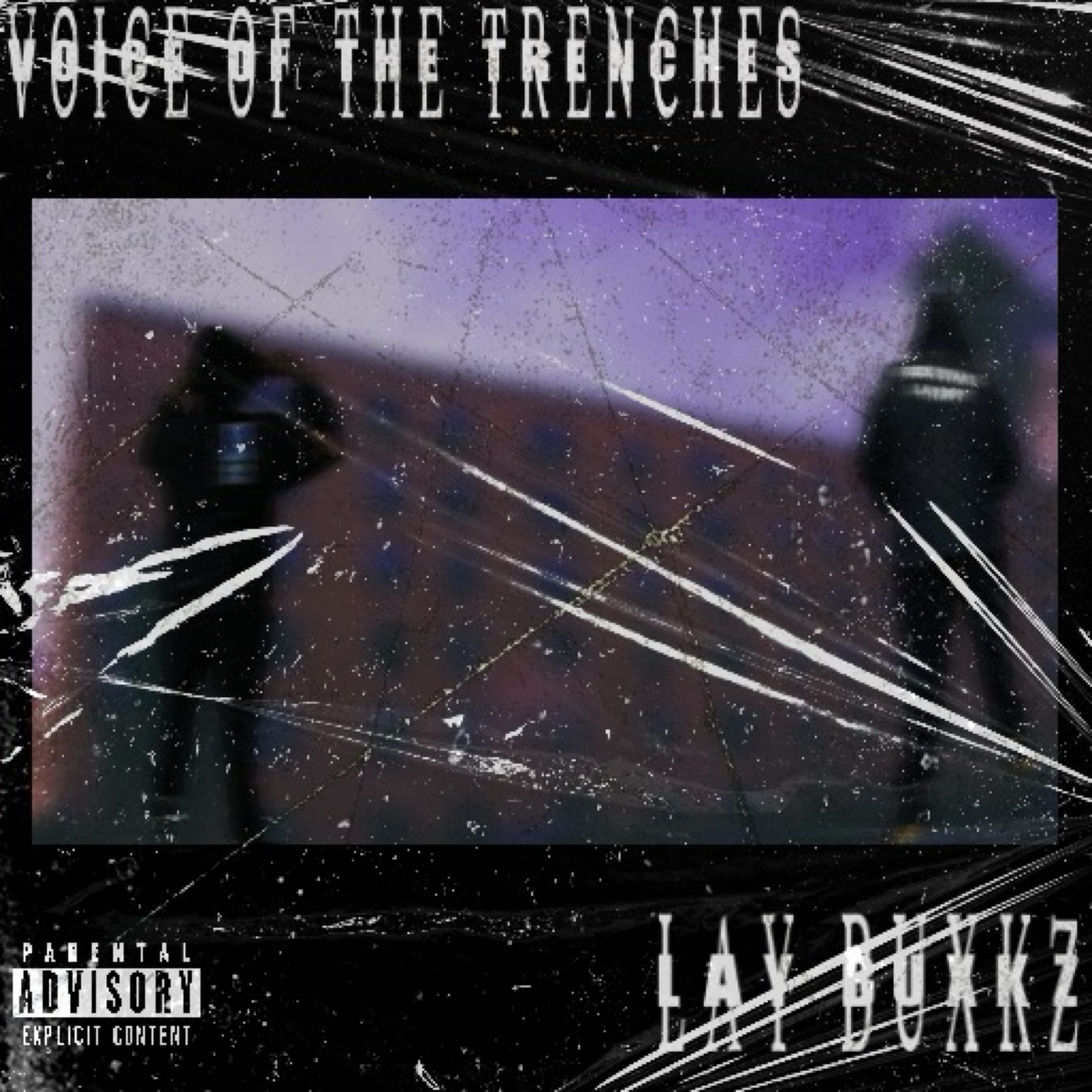 VOICE OF THE TRENCHES artwork