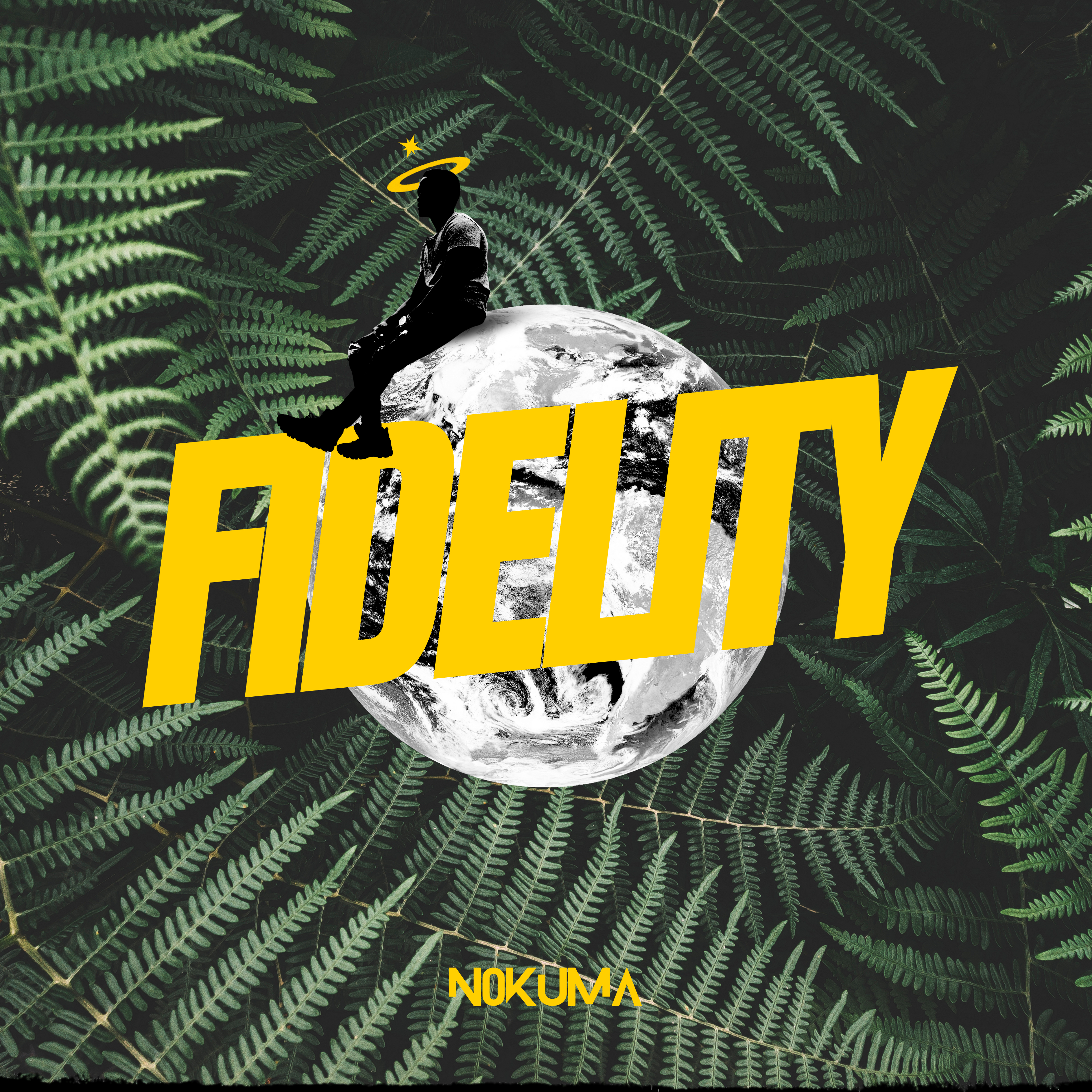 Fidelity artwork