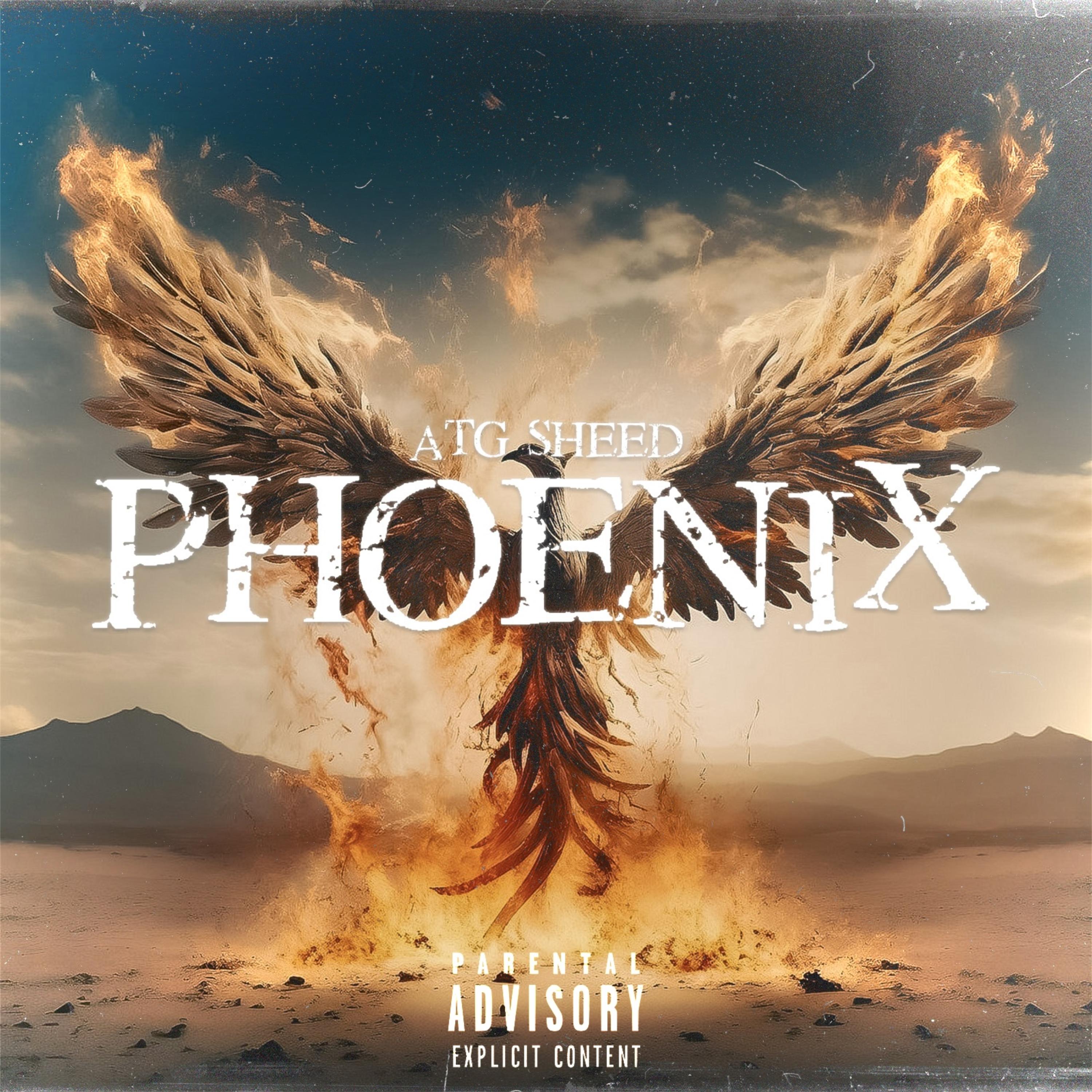 Phoenix artwork