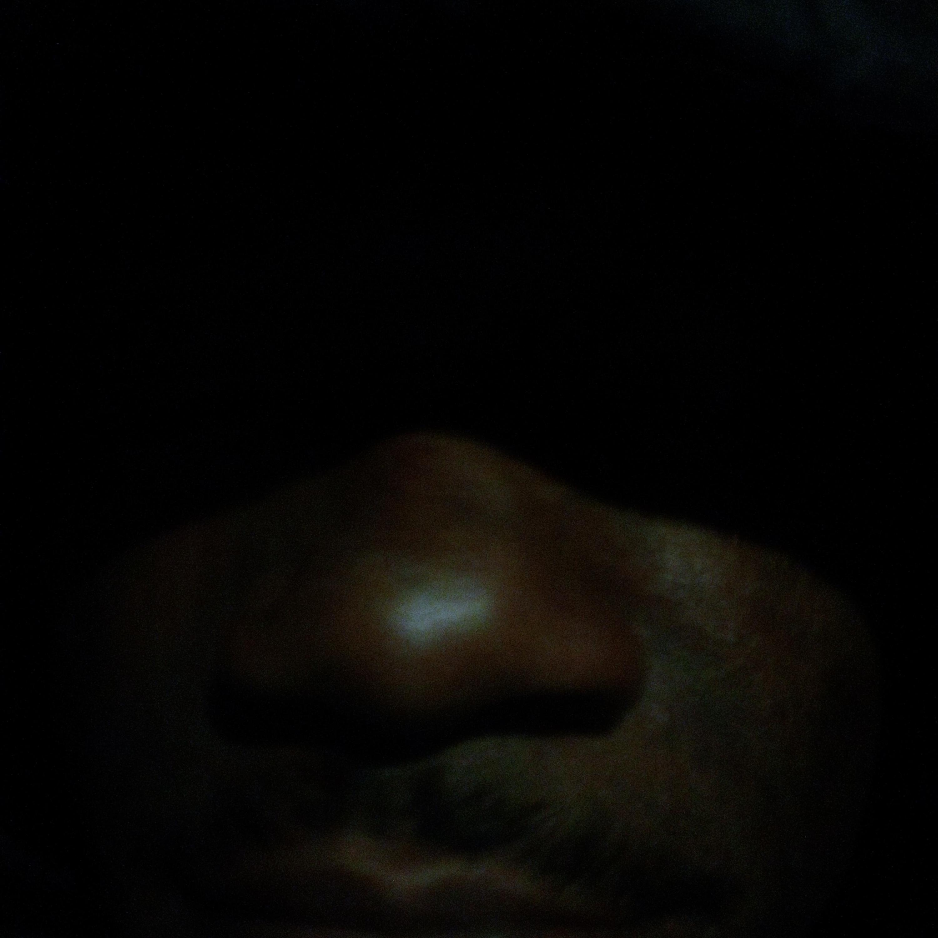 Universal Overcomer artwork