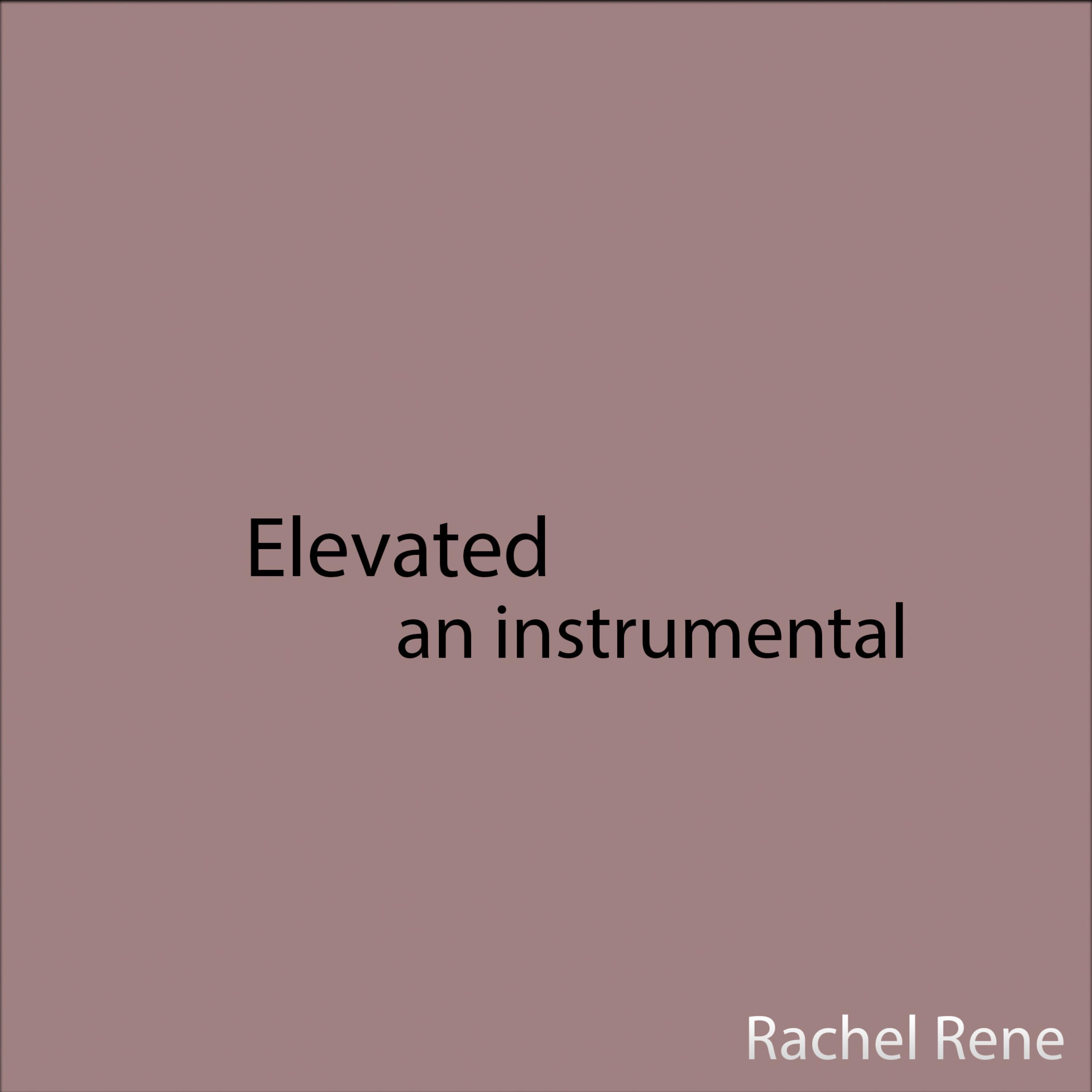 elevated.aninstrumental artwork