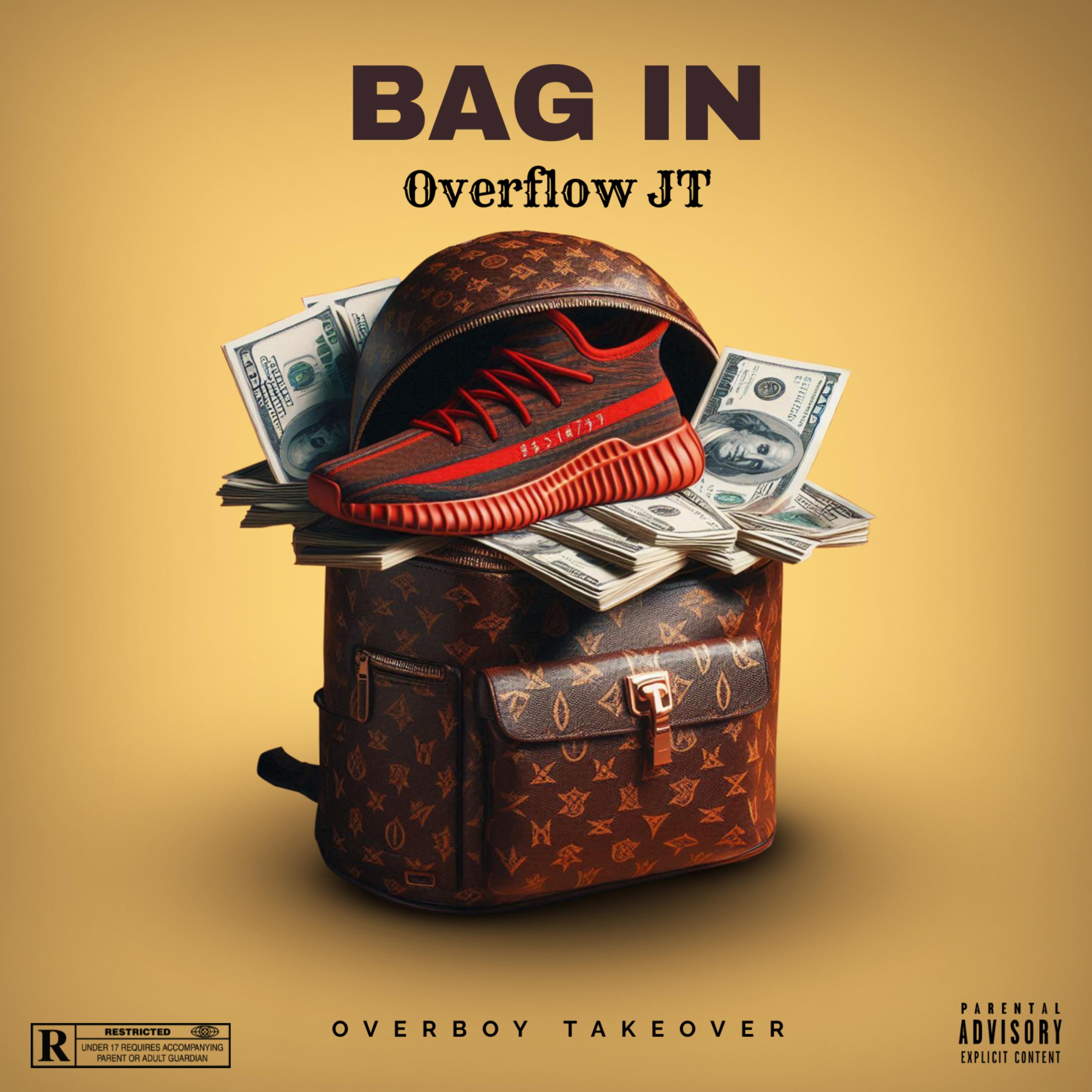 BAG IN artwork
