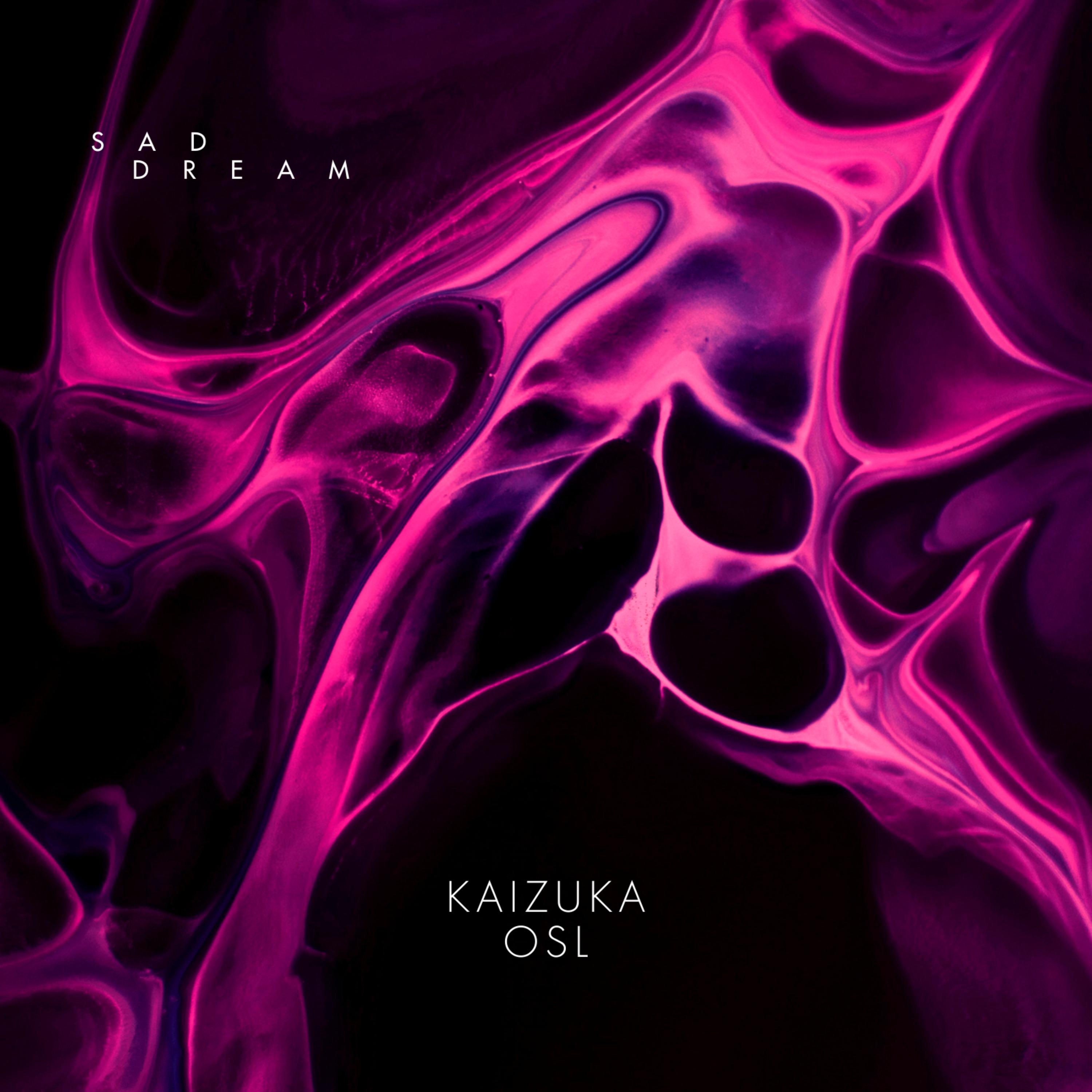 Sad Dream by Kaizuka cover art