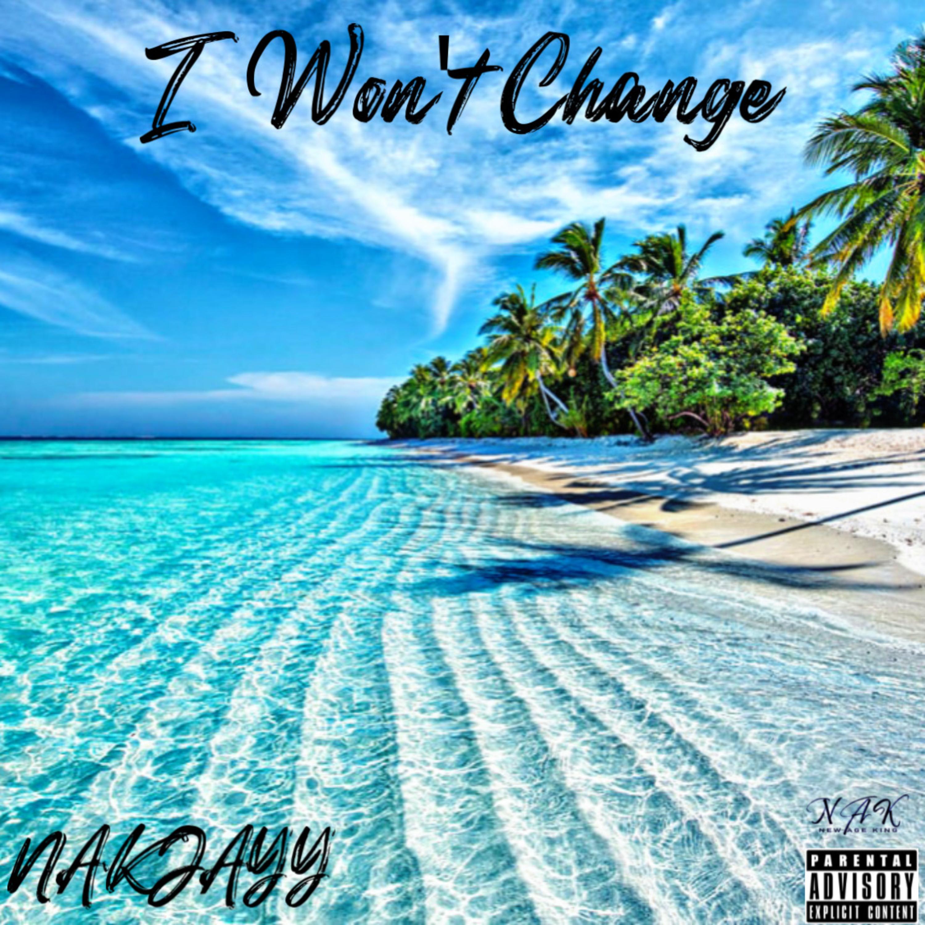 I Won't Change artwork