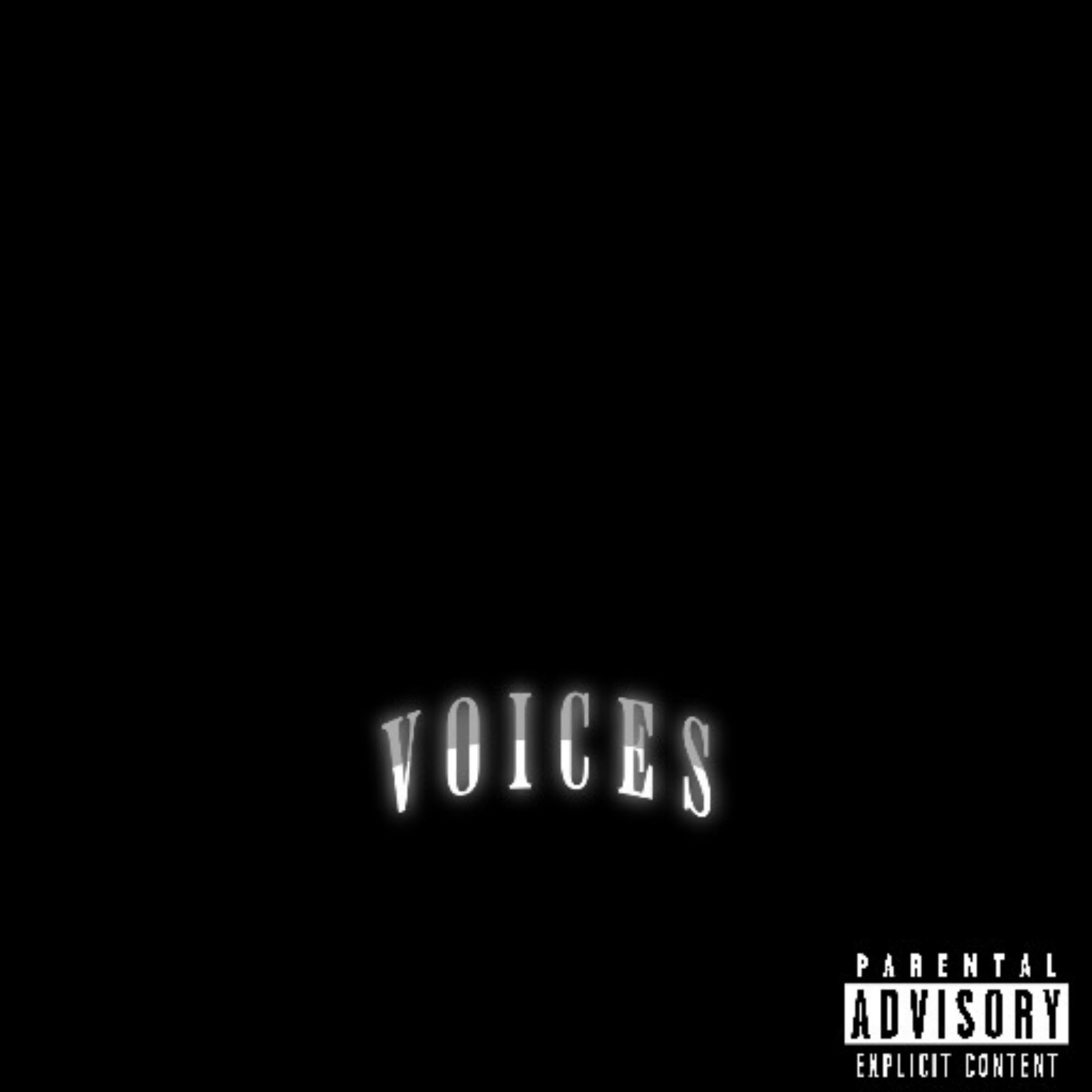 VOICES artwork
