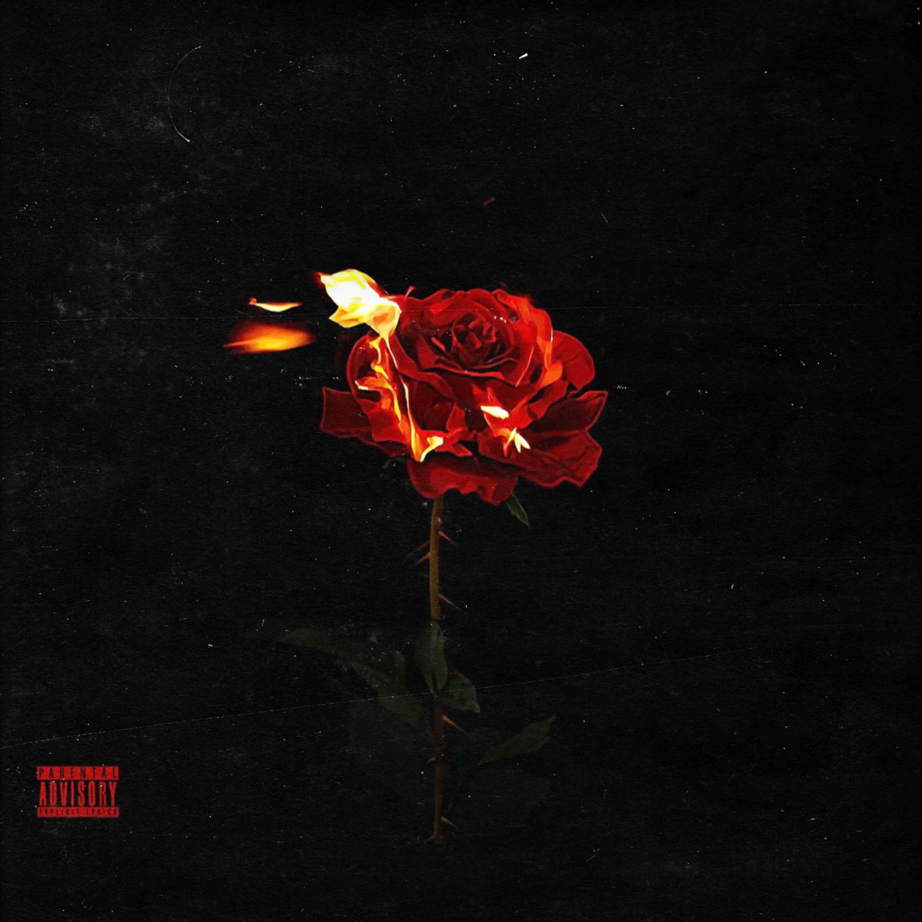 Real Love artwork