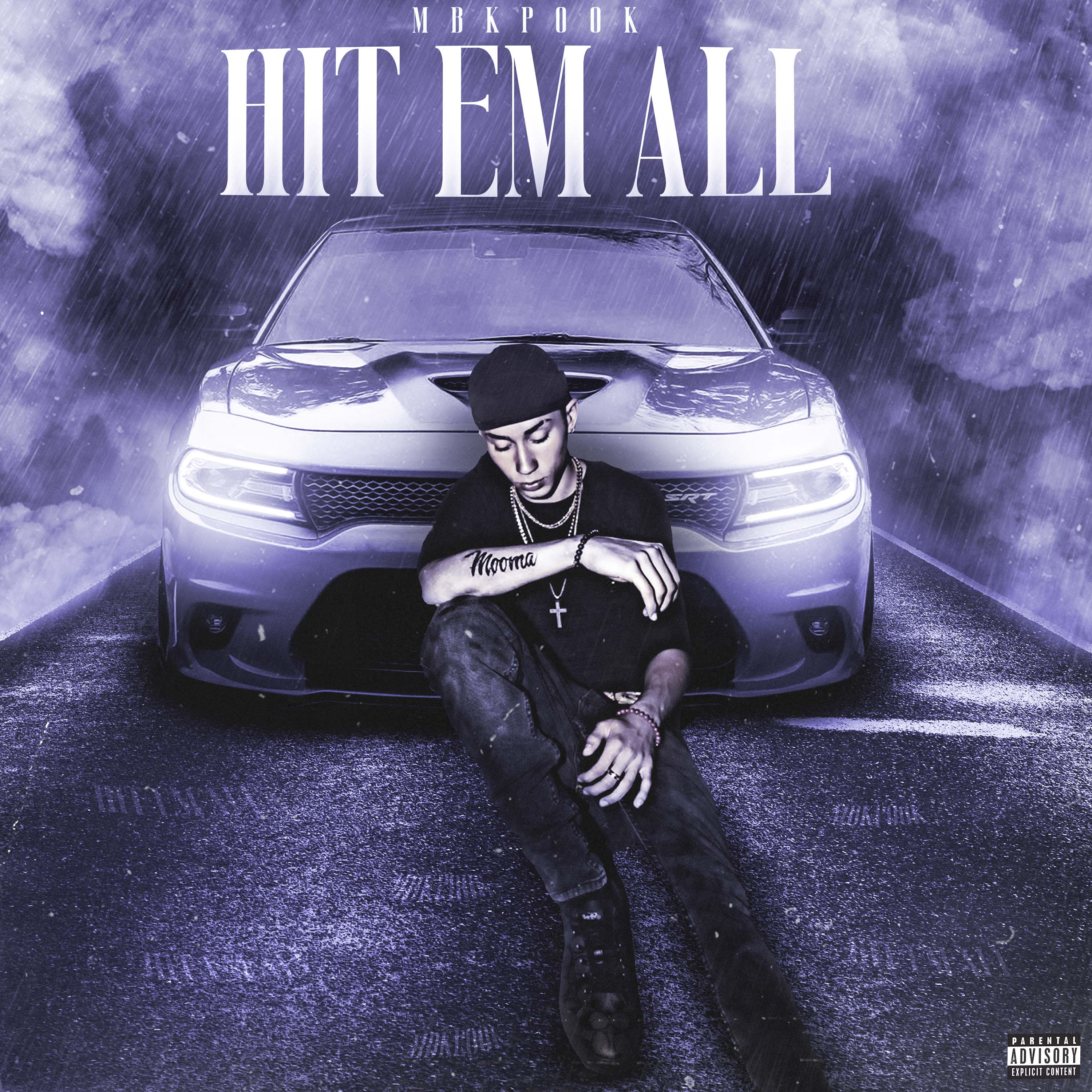 Hit Em All artwork