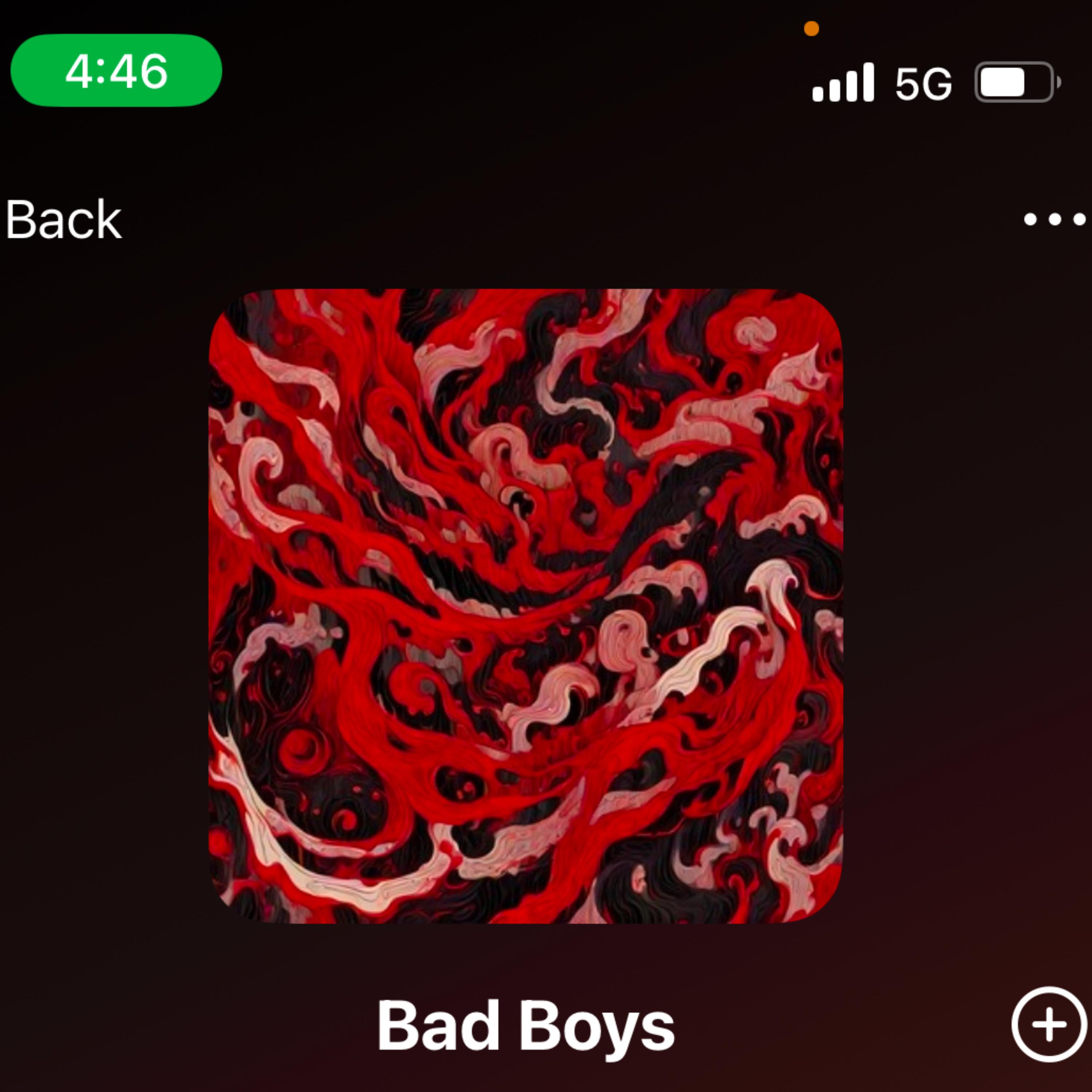 Bad Boys artwork