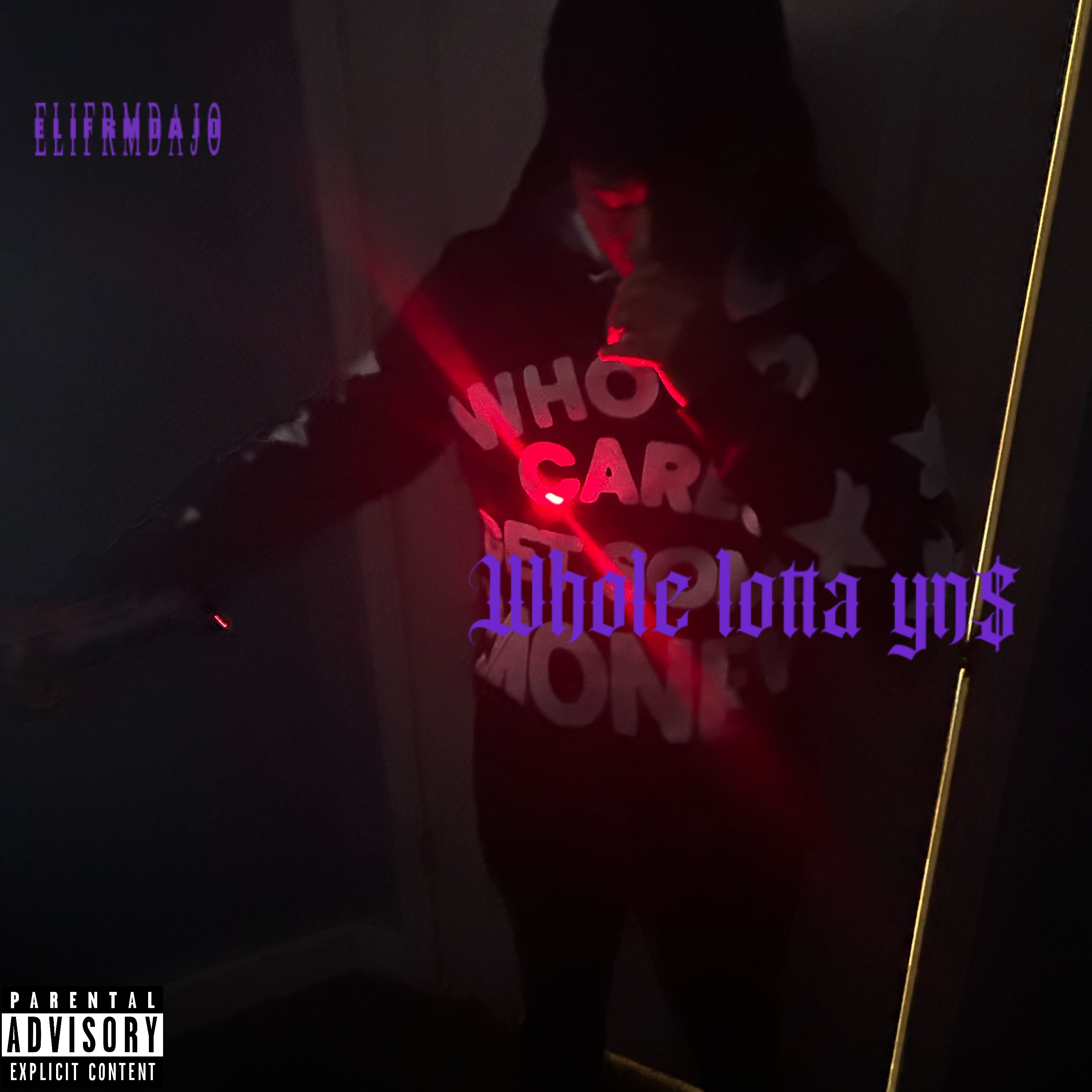 Whole Lotta Yn$ artwork