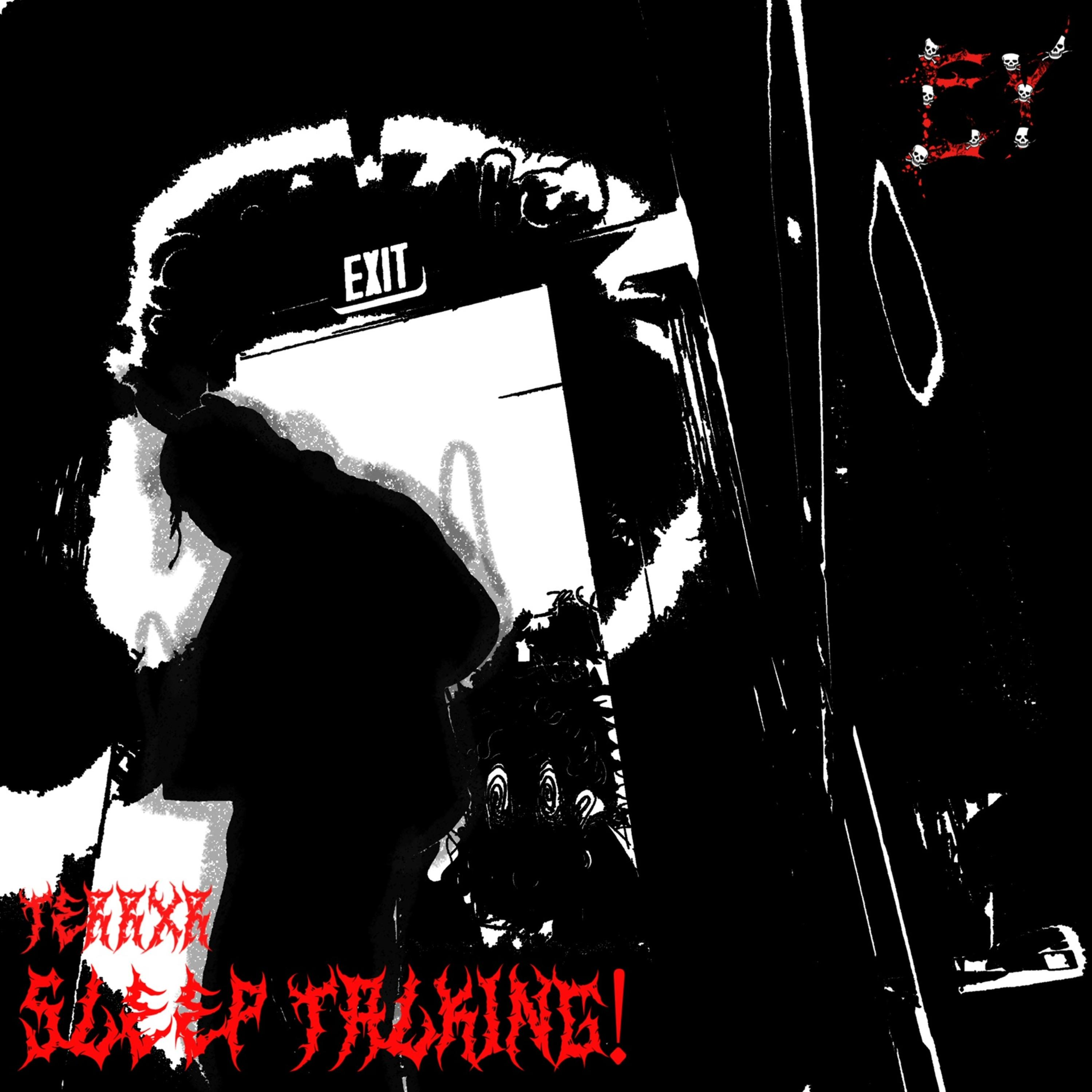 SLEEP TALKING! artwork