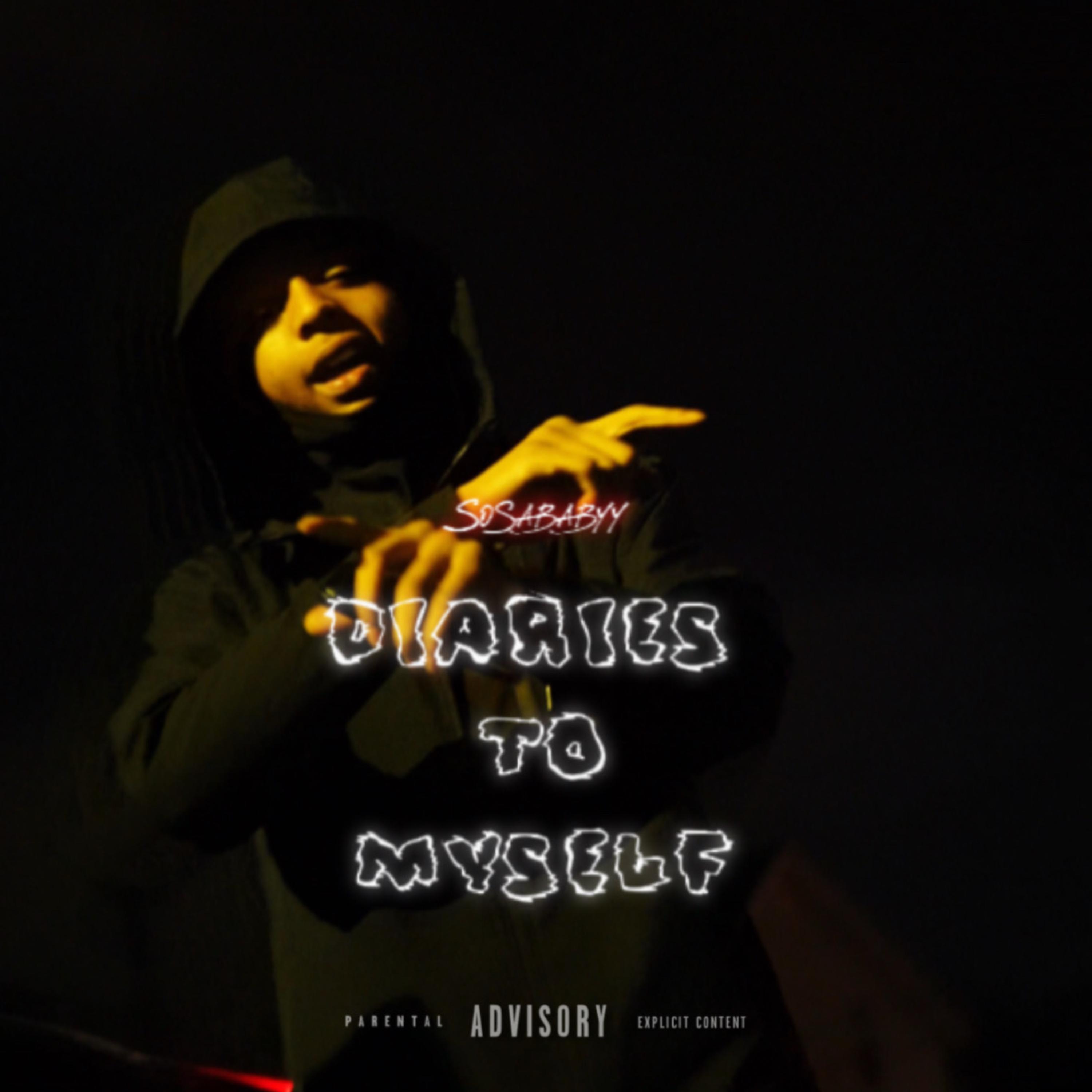 Diaries To Myself artwork