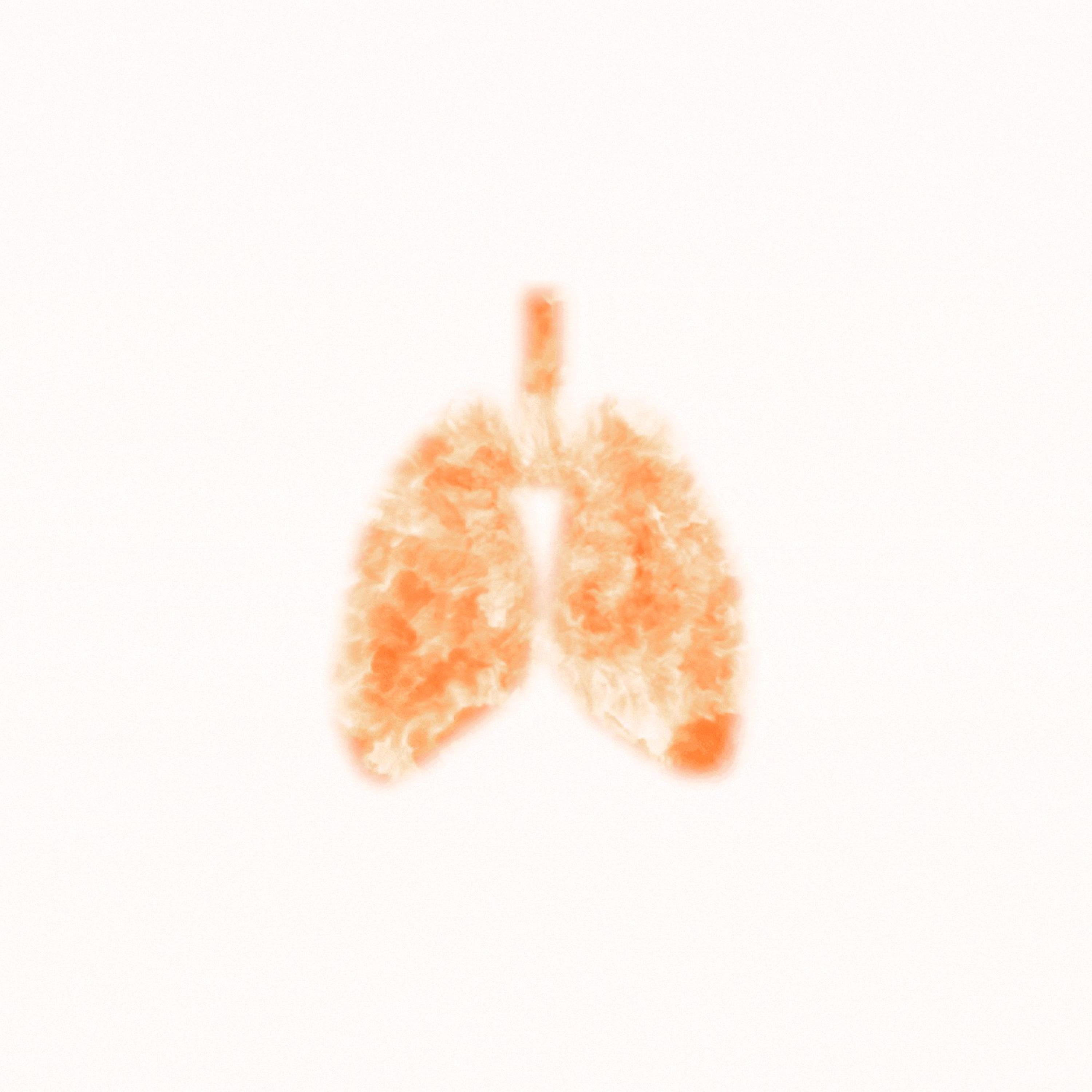 CALIFORNIA LUNGS artwork